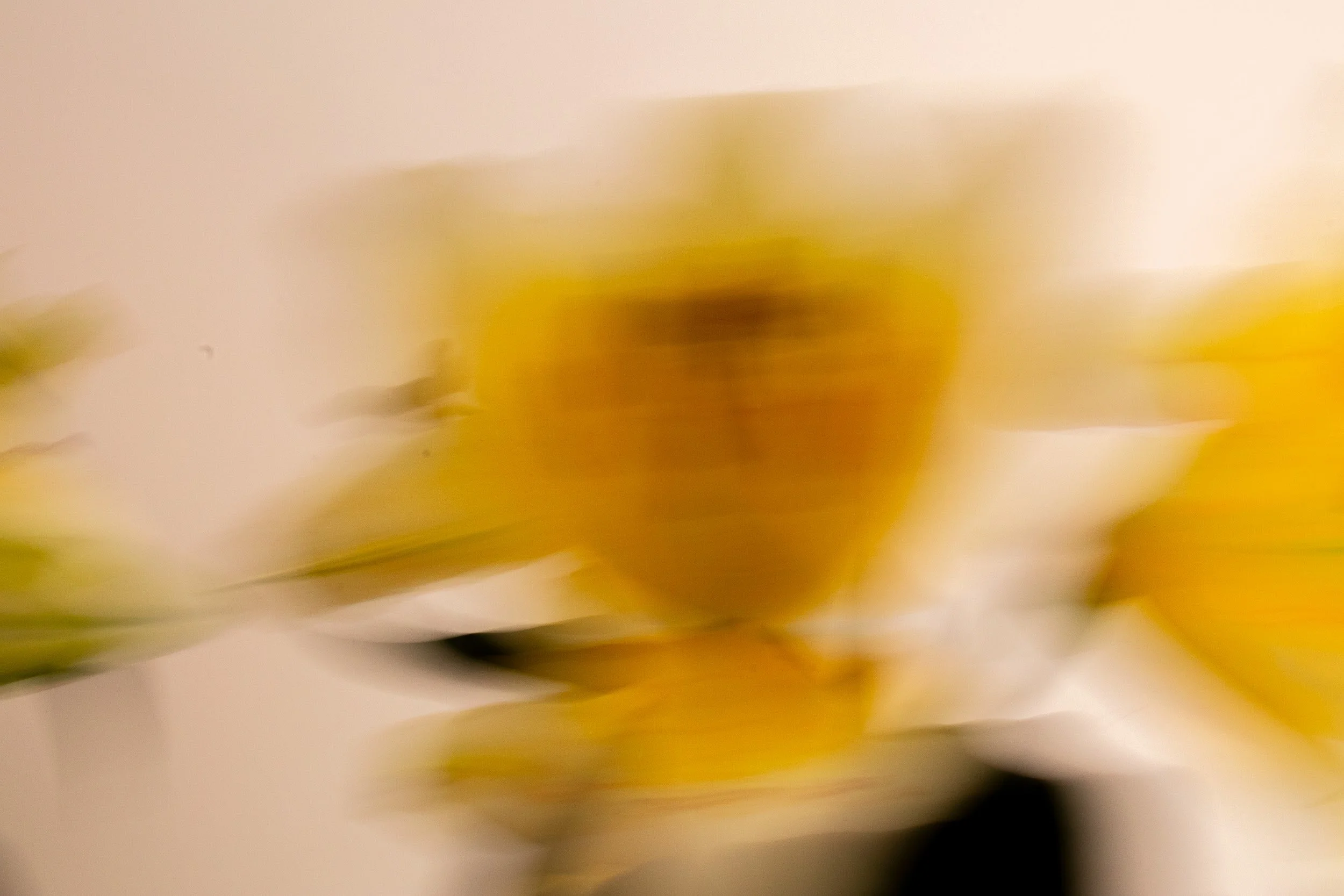 Dreamy close-up of lilies, soft and out of focus. Intimate colour photography by Isabel Hachmann-Peralt, Amsterdam.