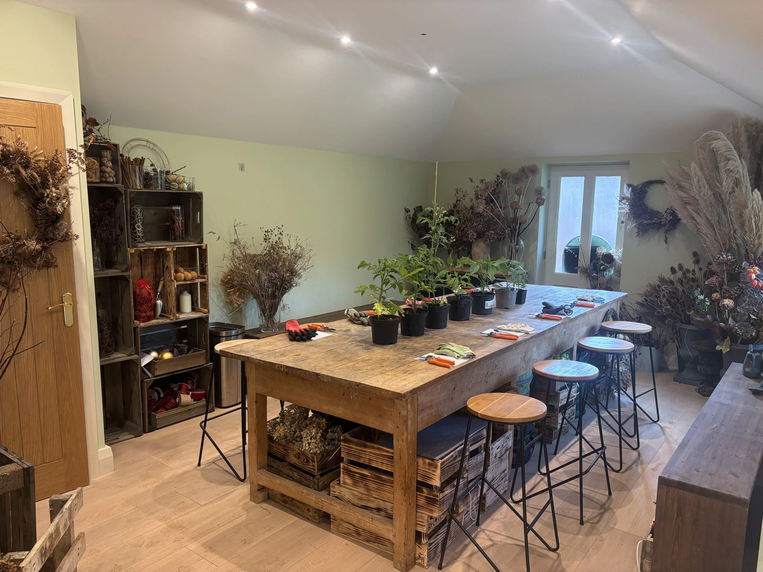 Tomato, Chilli & Pepper Workshop