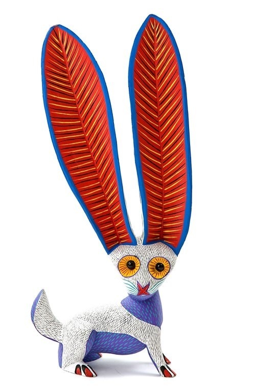 conejo.jpg