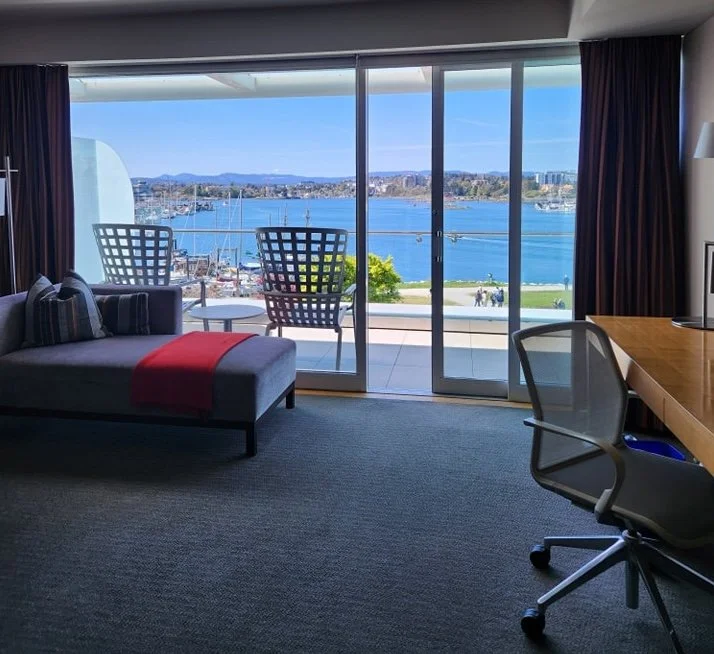 view room.jpeg