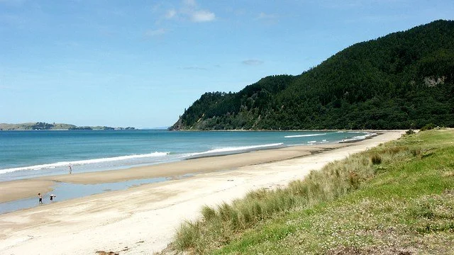 Pauanui-Beach-Inspired-Property.jpg
