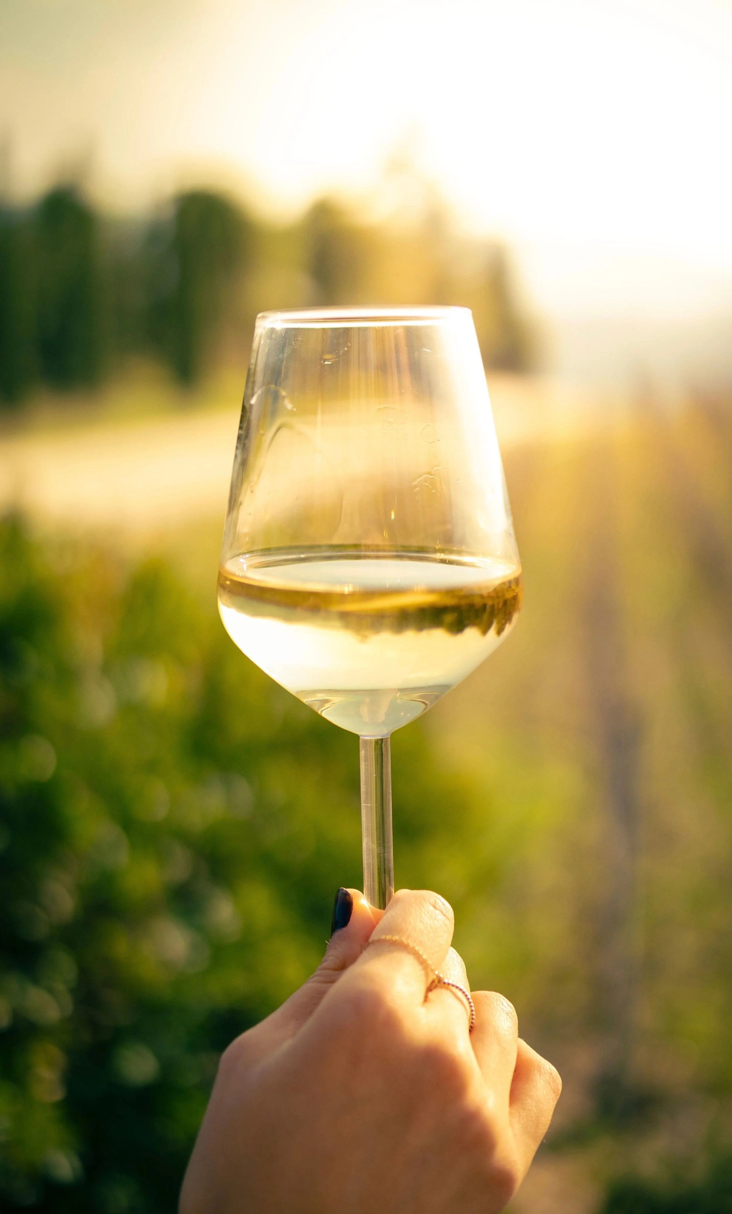 White wine glass in vineyard.jpg