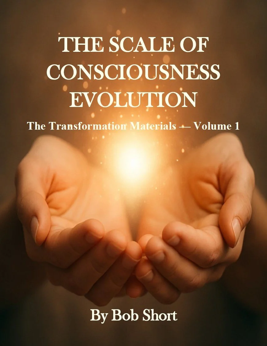 The Scale of Consciousness Evolution cover
