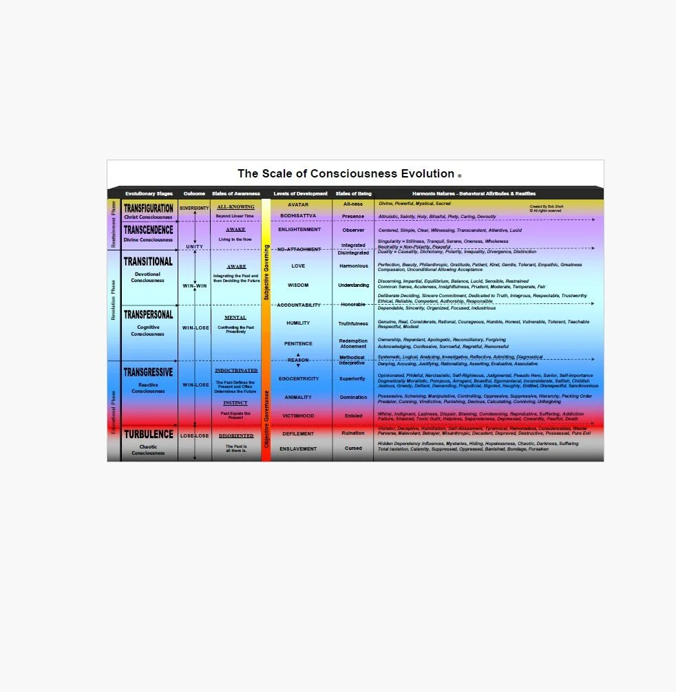 The Scale — Laminated Quick Reference Guide