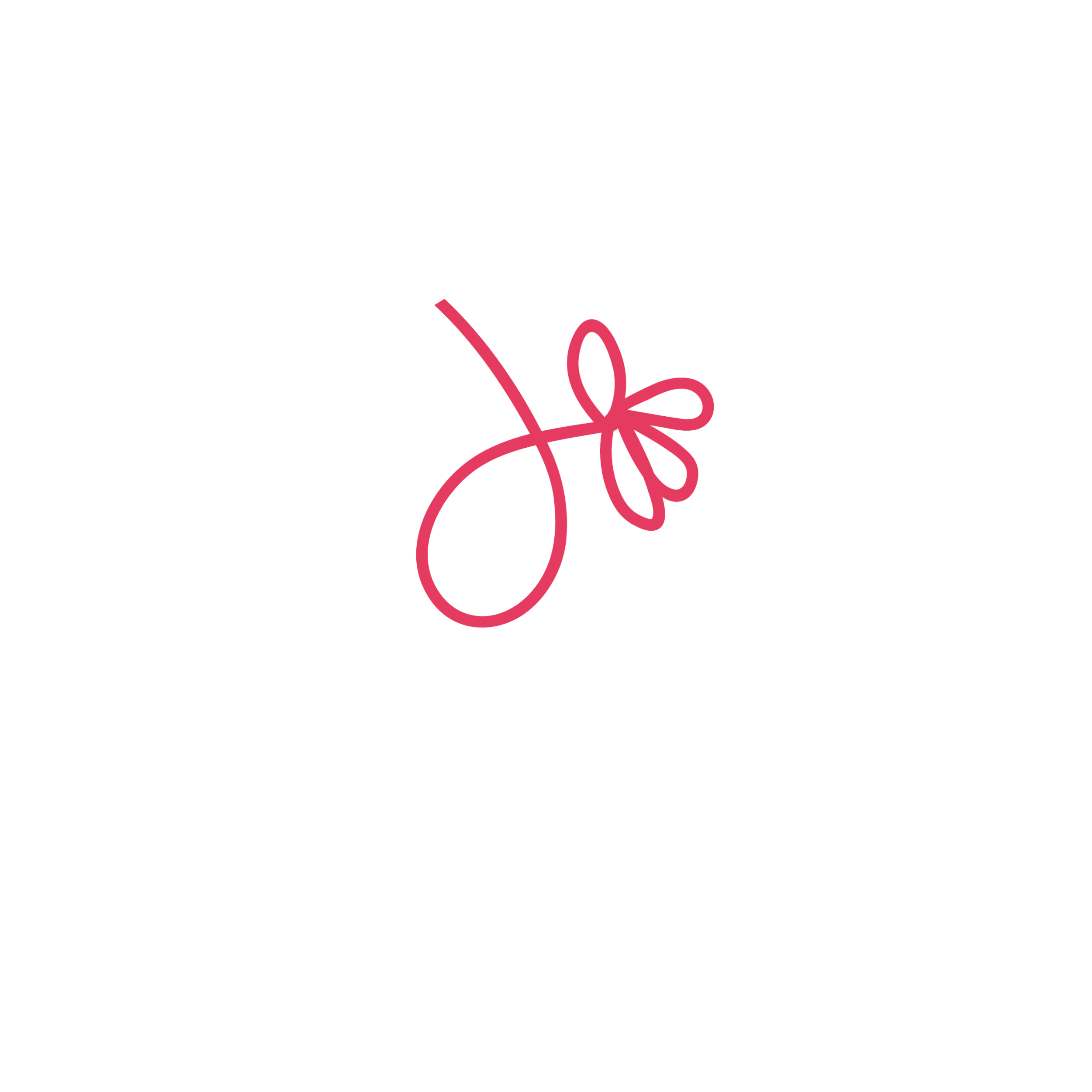 The Daisy Network logo with a stylized pink bow on a white circle and the words 'daisy network' in white lowercase text on a black background.