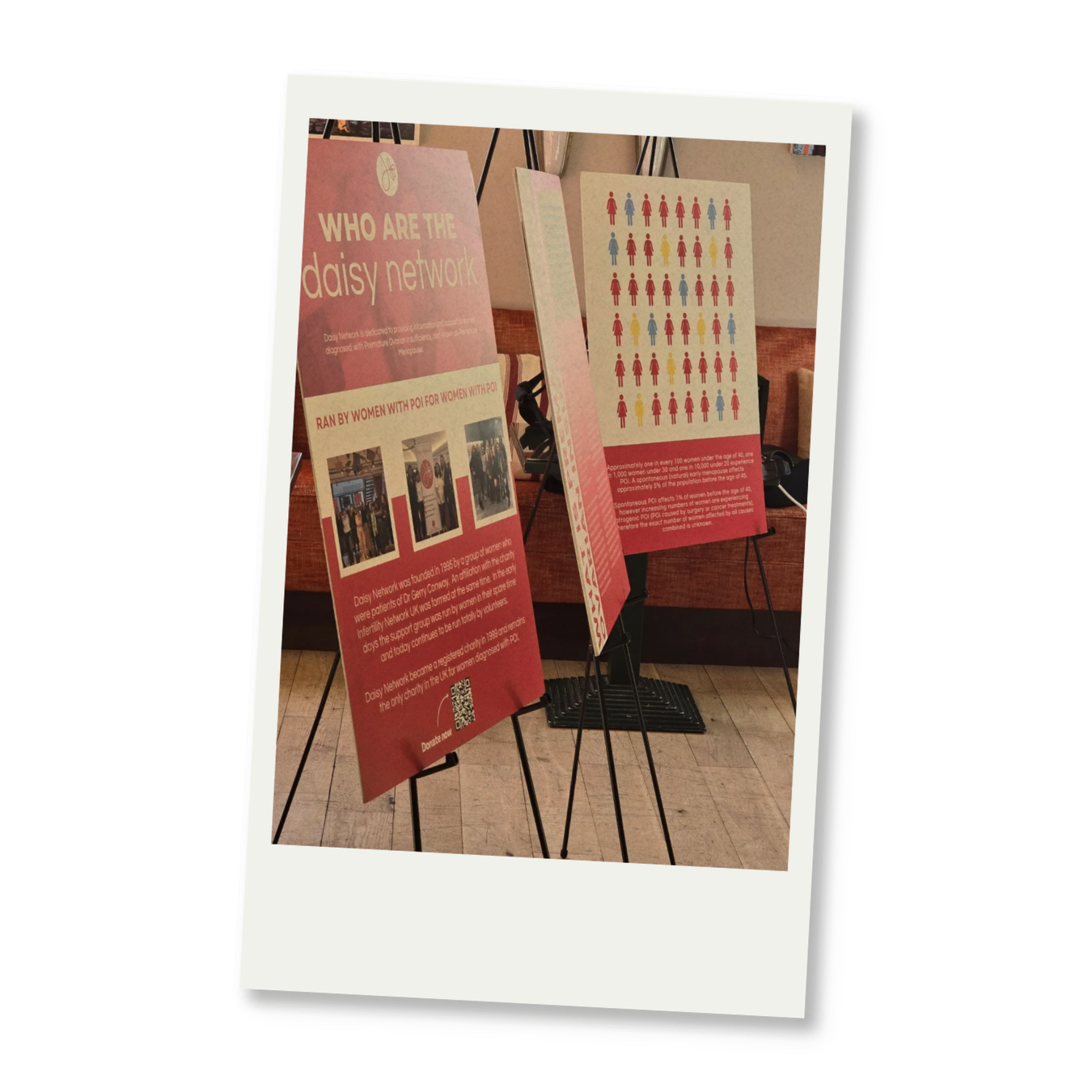Display boards with information about the Daisy Network and a chart of female symbols in blue, red, and yellow.