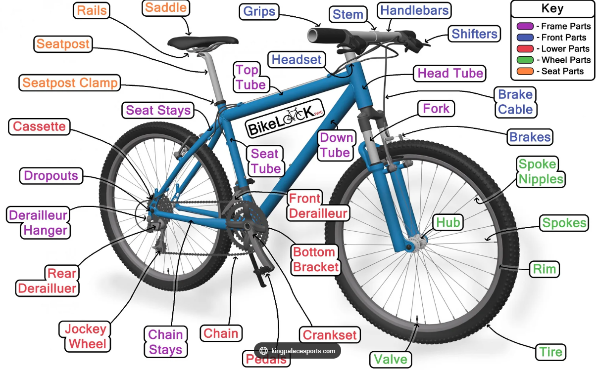 Bike Assembly