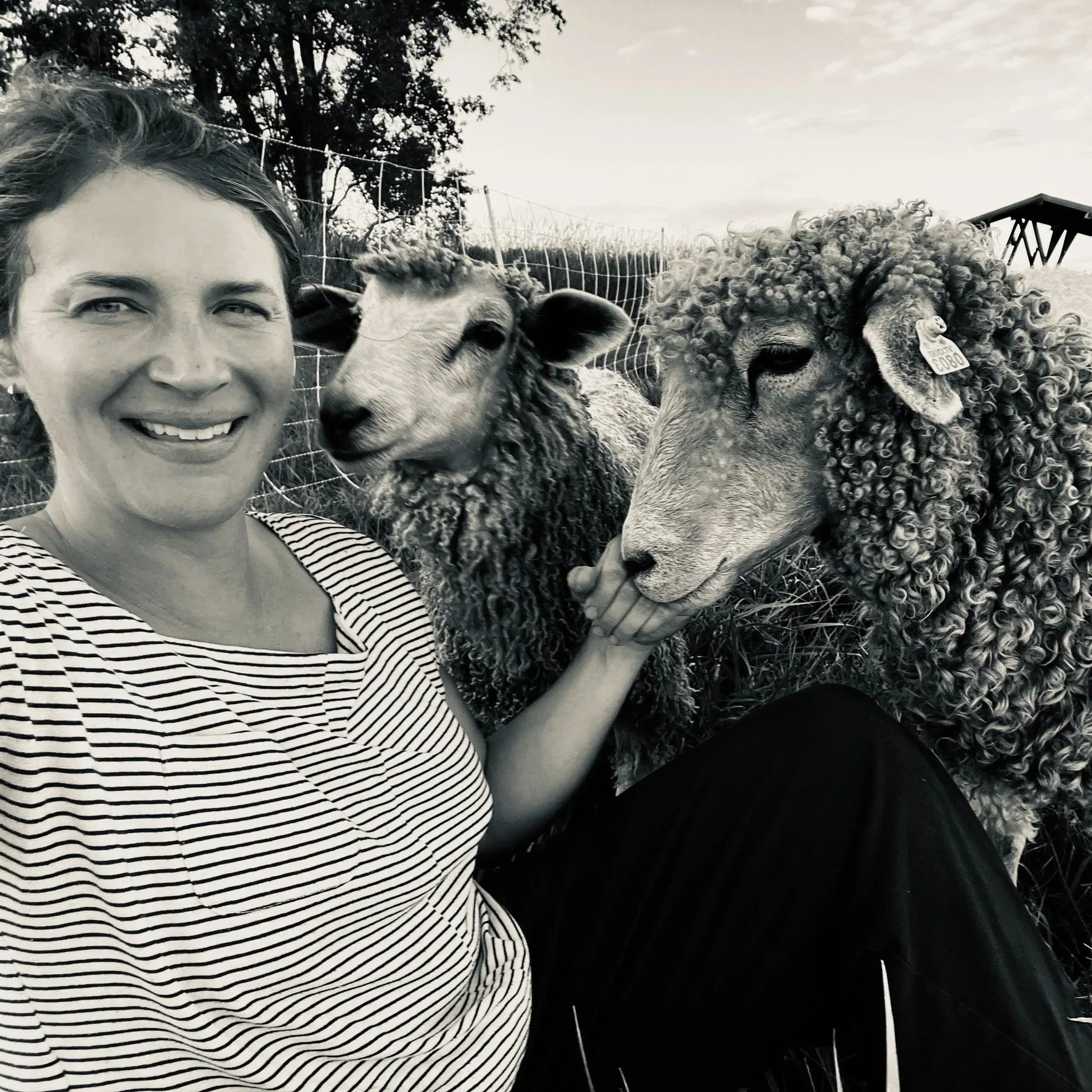 A woman with two sheep, one with curly wool and one with smooth wool, behind a wire fence outdoors during the daytime.