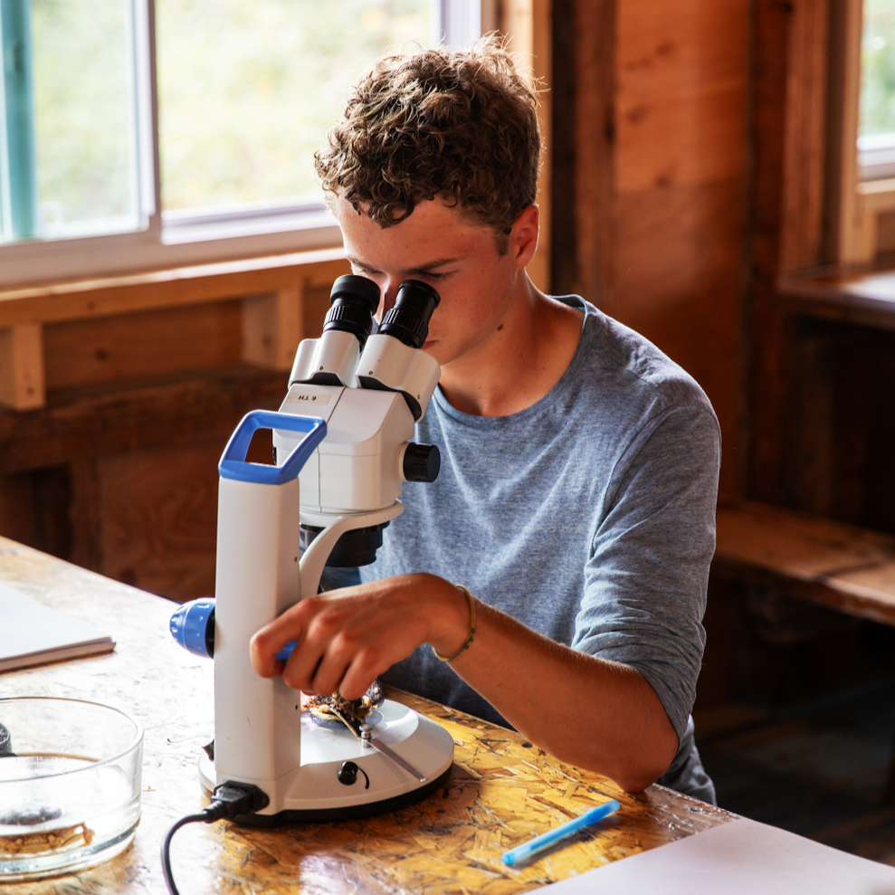 High school boy looking through a microscope