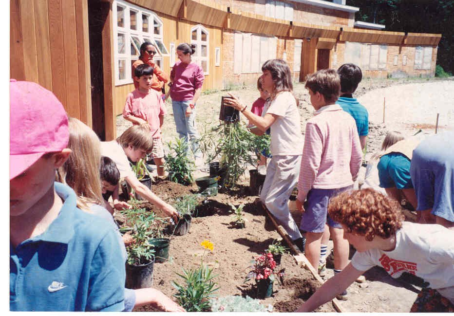 Children planting flowers and shrubs in a garden bed during a community gardening activity.