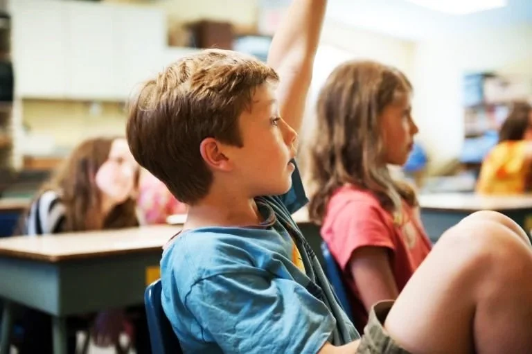 Boy raising his hand in a classroom