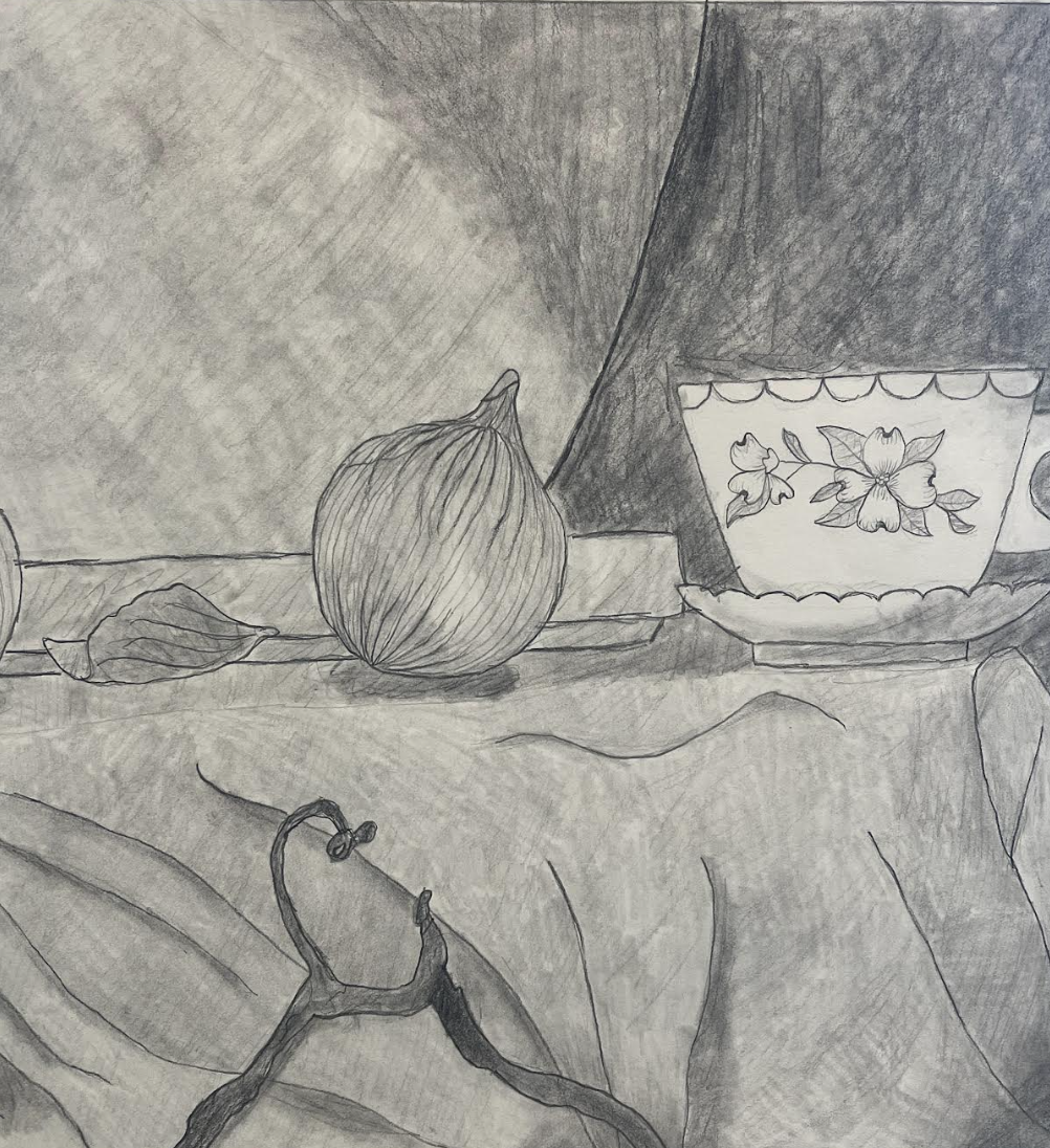 Pencil still-life drawing of an onion and a teacup