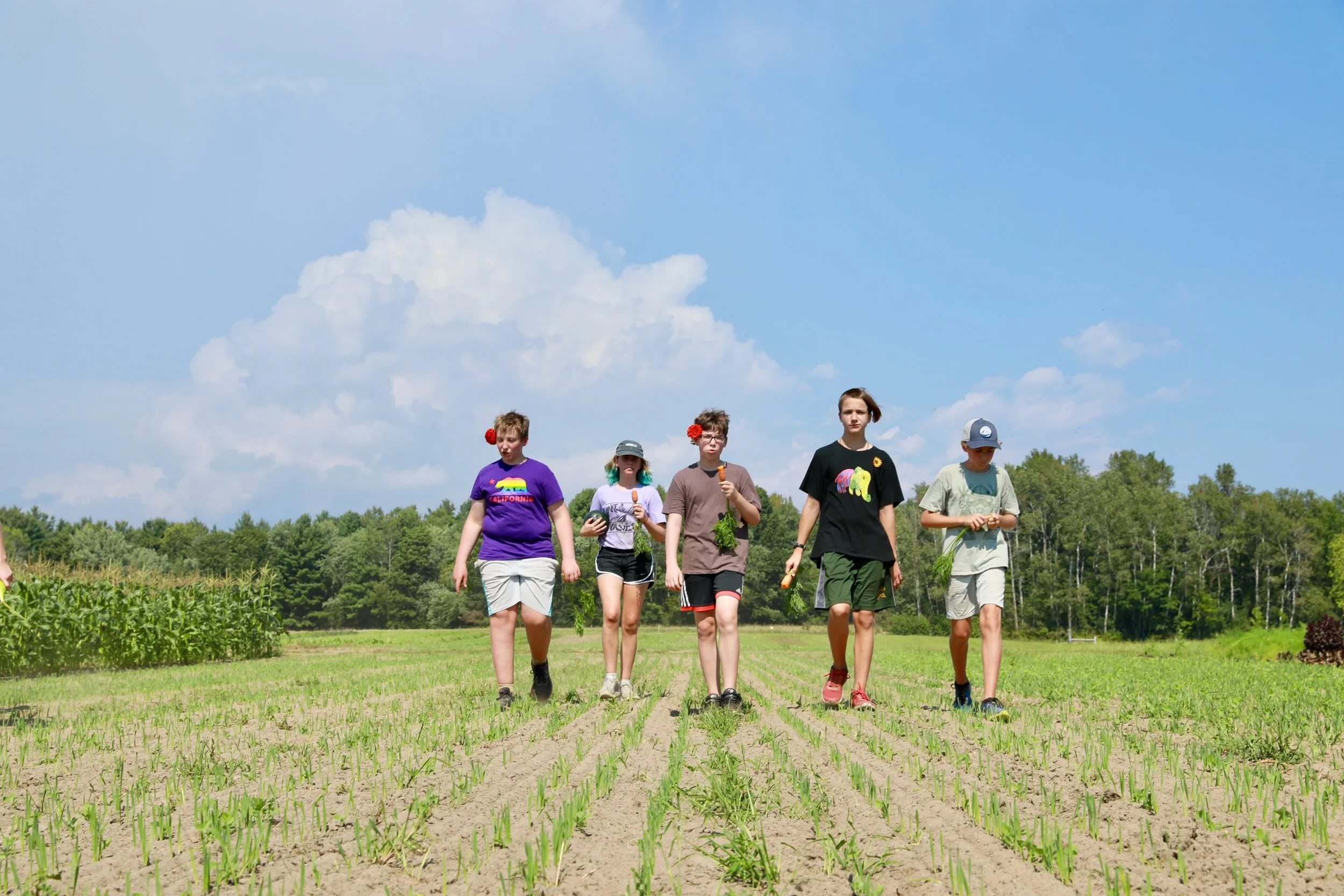Students walking through a field on a farm