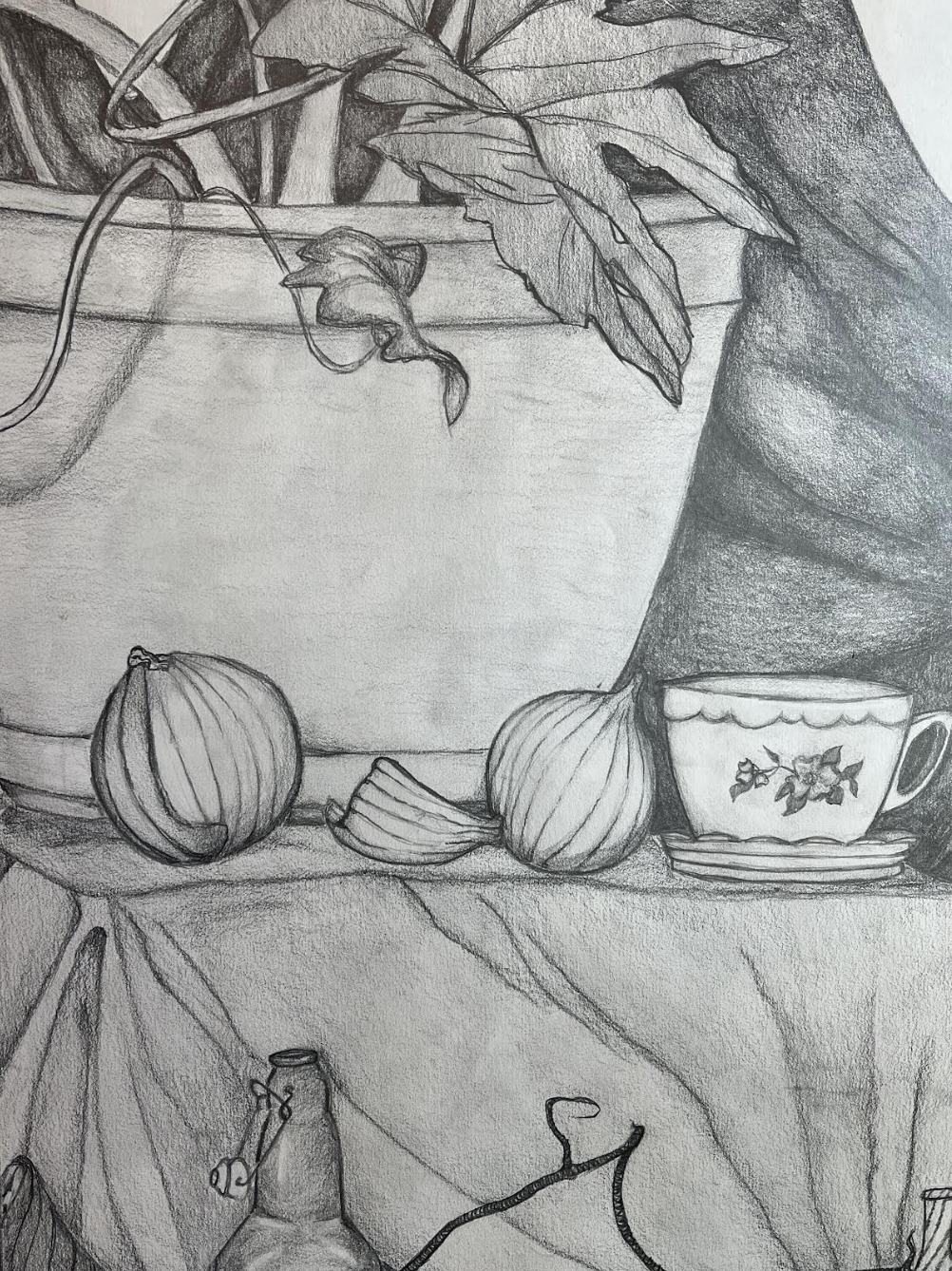 Pencil still-life drawing of onions, a teacup, and a potted plant