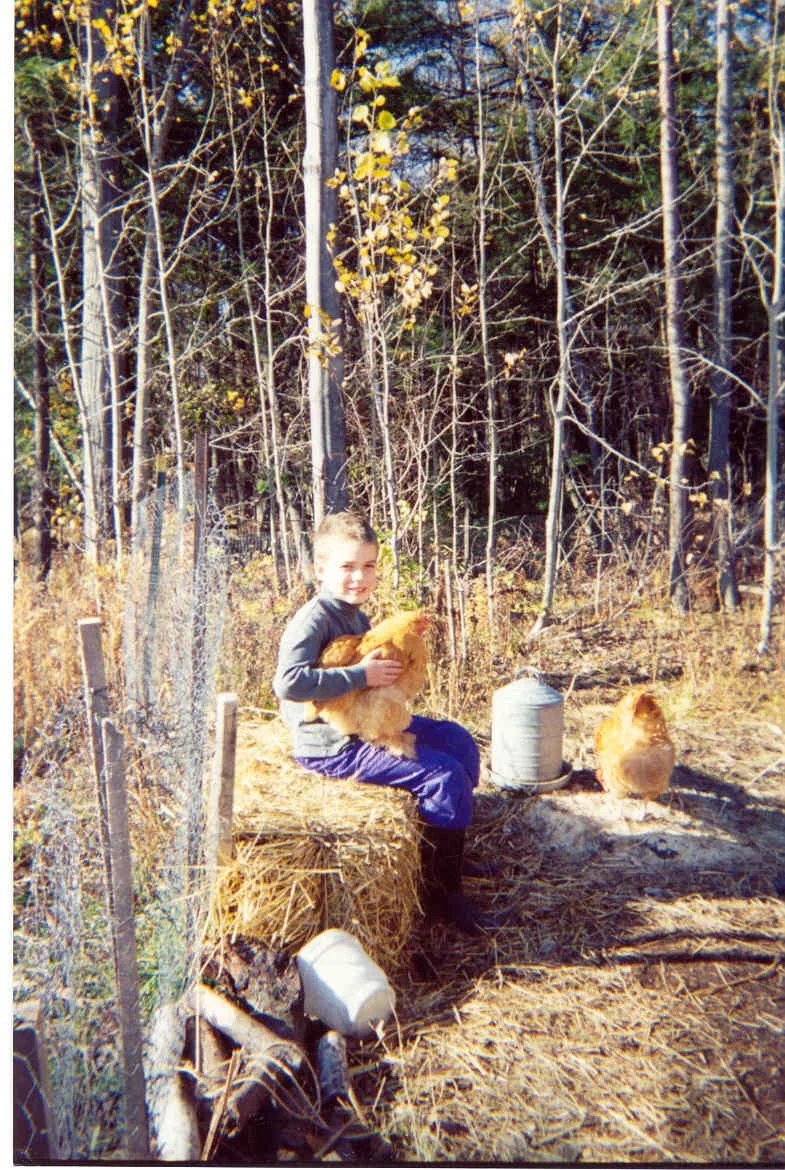 A young boy sitting on a hay bale in a wooded outdoor setting, holding a chicken. There is another chicken nearby, and a grey water container on the ground. The background consists of leafless trees and some evergreen trees.