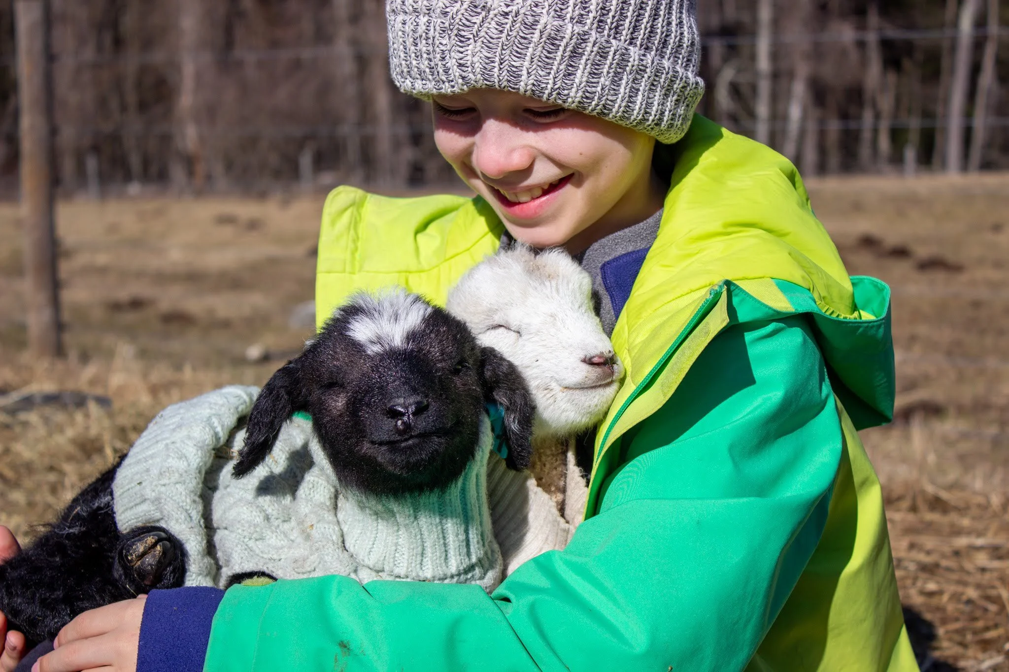 Grade school student holding two baby goats