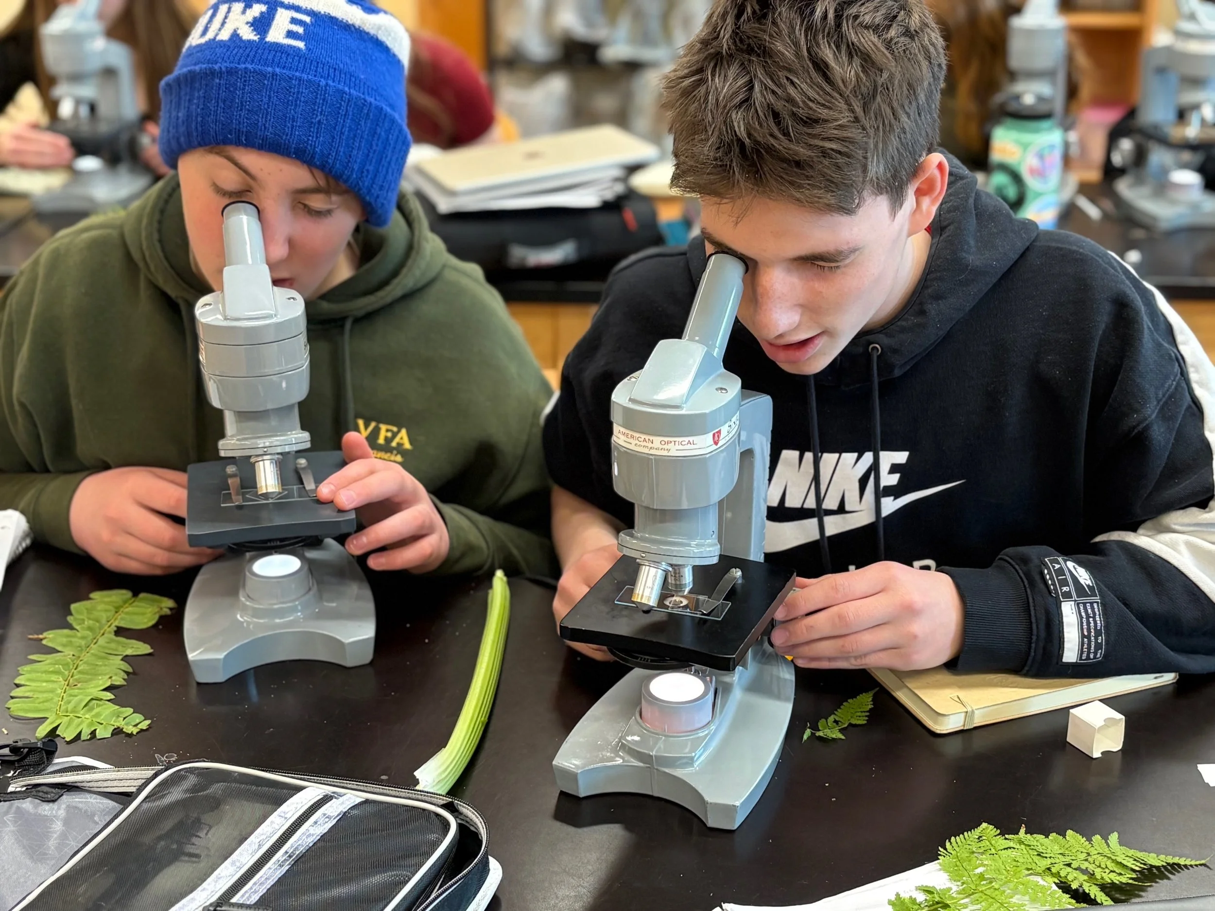 High school students looking through microscopes