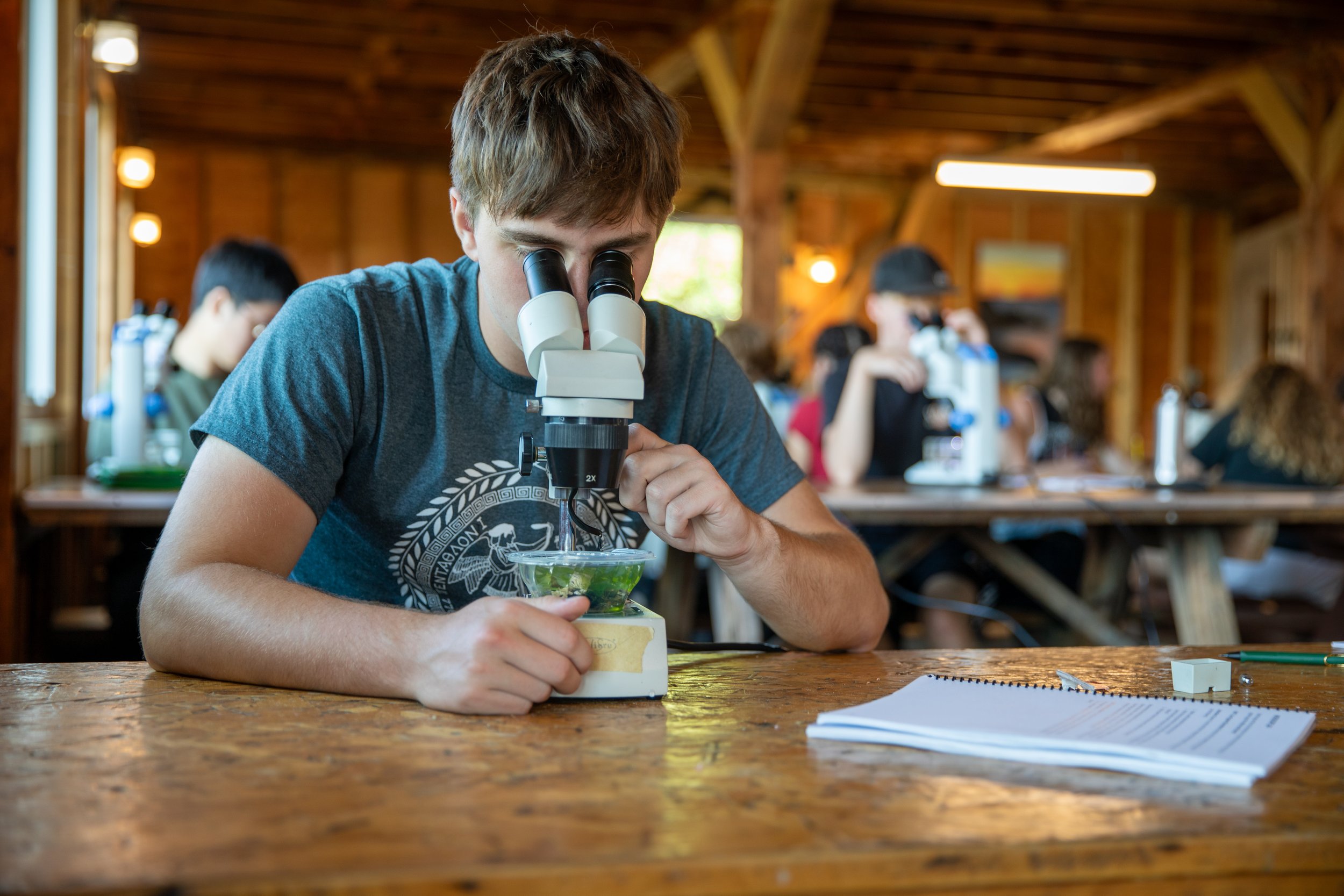 High school boy looking through a microscope