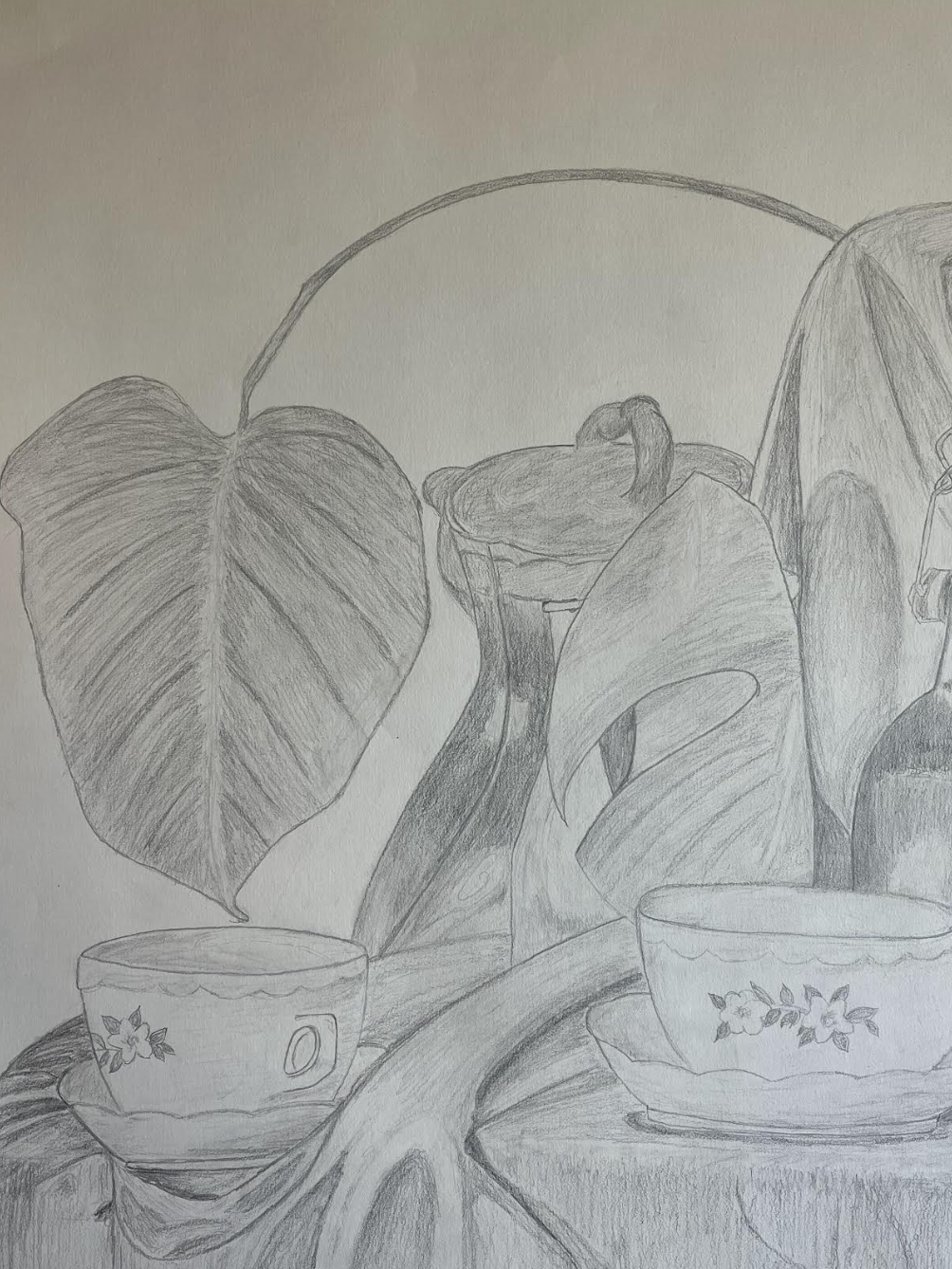 Pencil still-life drawing of teacups and plants
