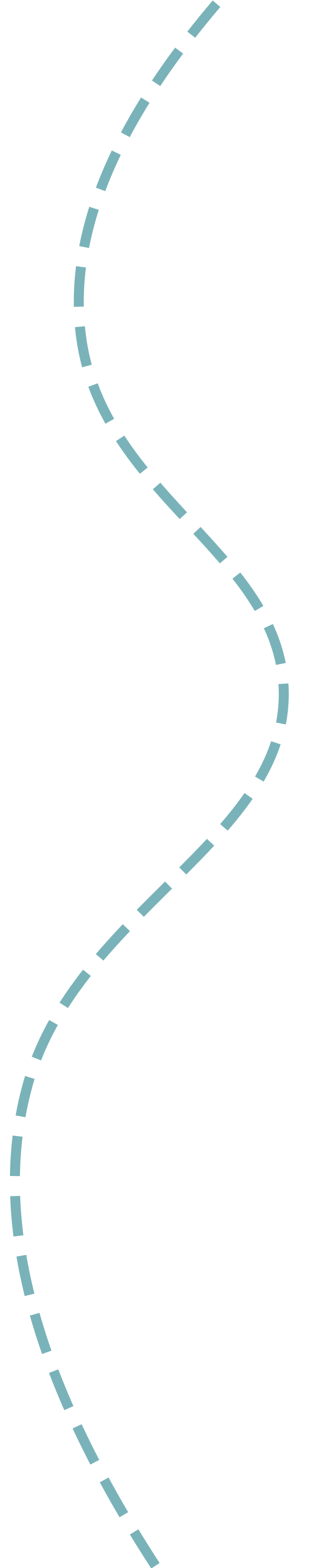 A dashed blue line.