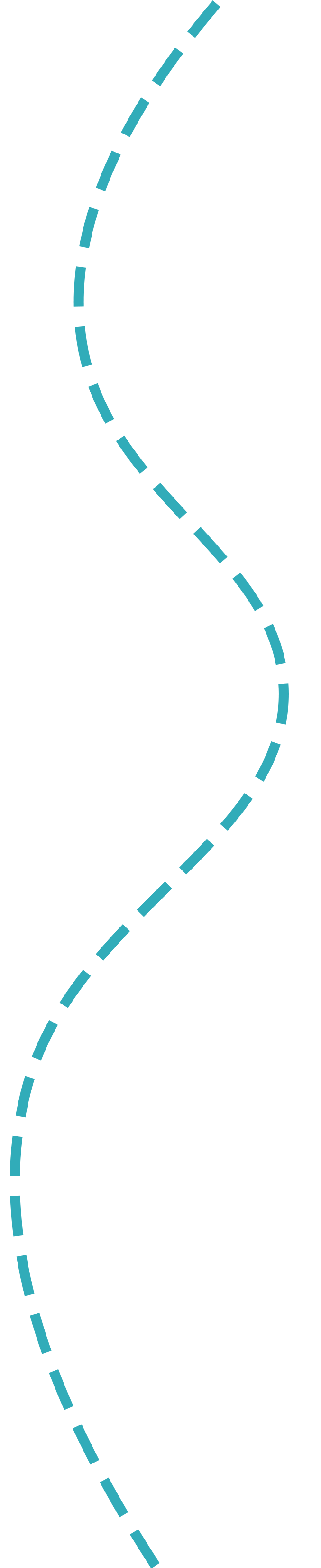 A dashed blue line forms a winding path.