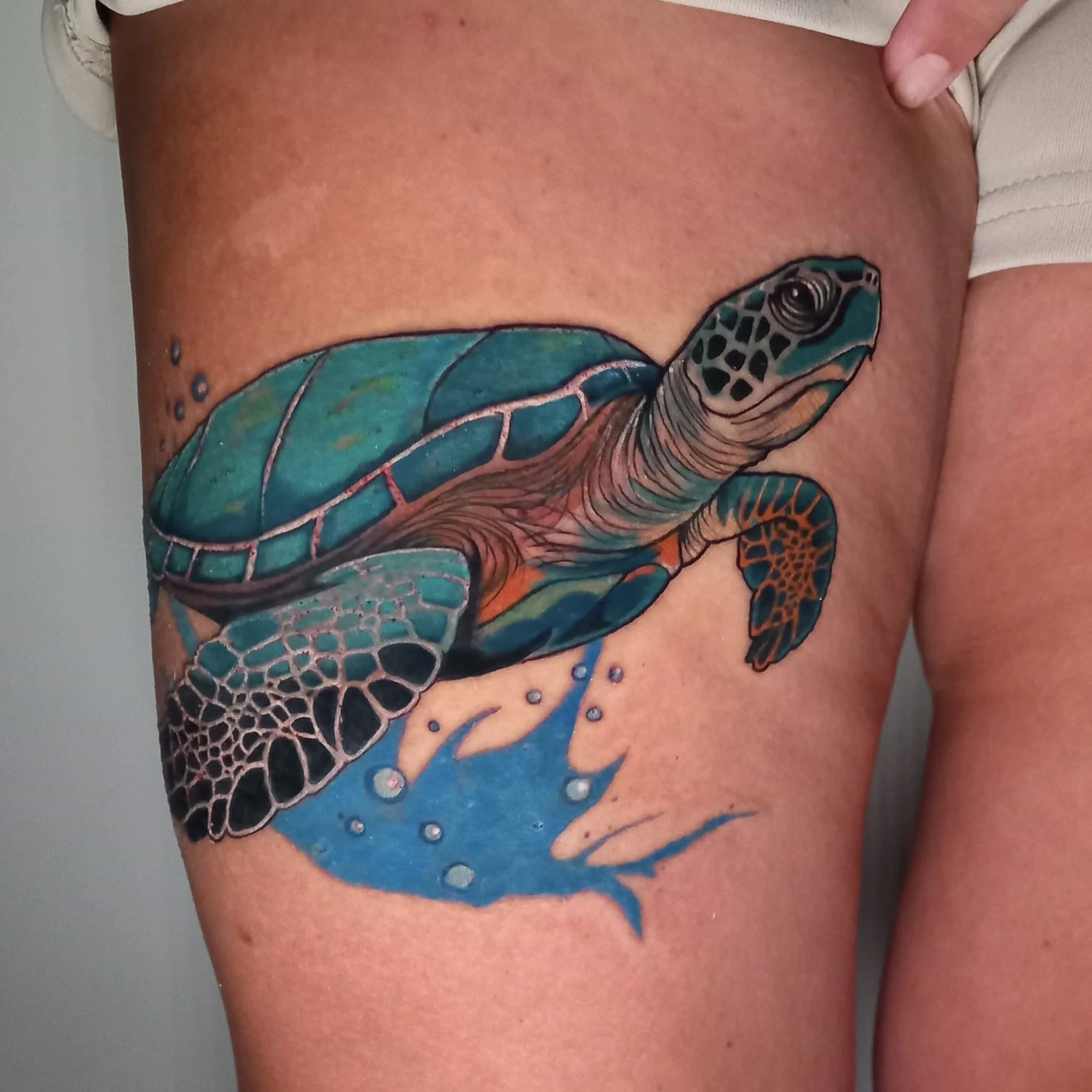 Turtle tattoo