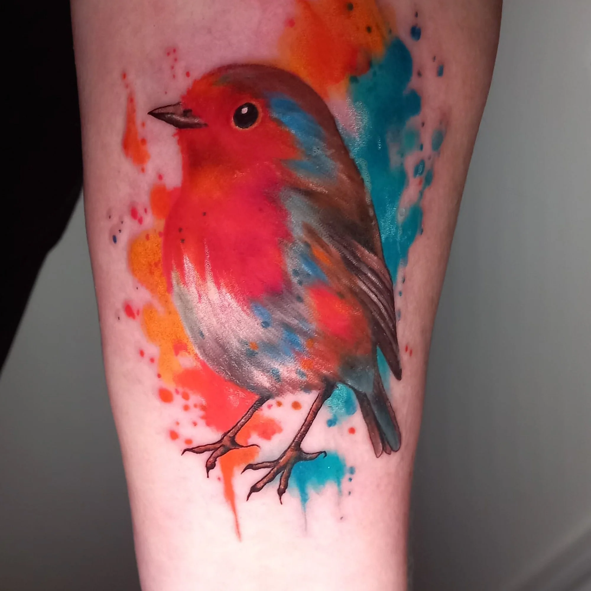 Colorful tattoo of a bird with orange, blue, and black feathers on skin, surrounded by orange and blue watercolor splashes.