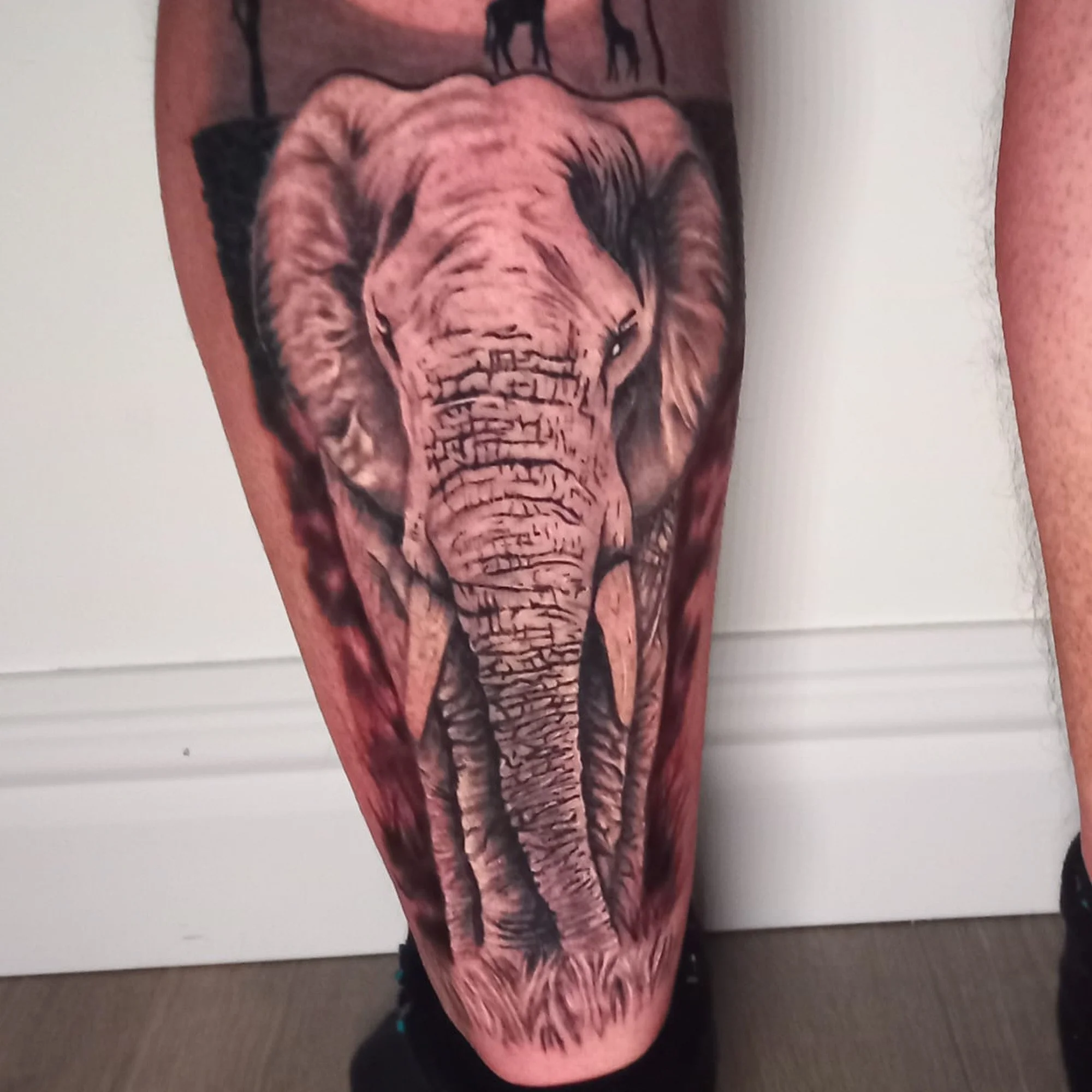 Tattoo of a roaring tiger on the person's person's leg.