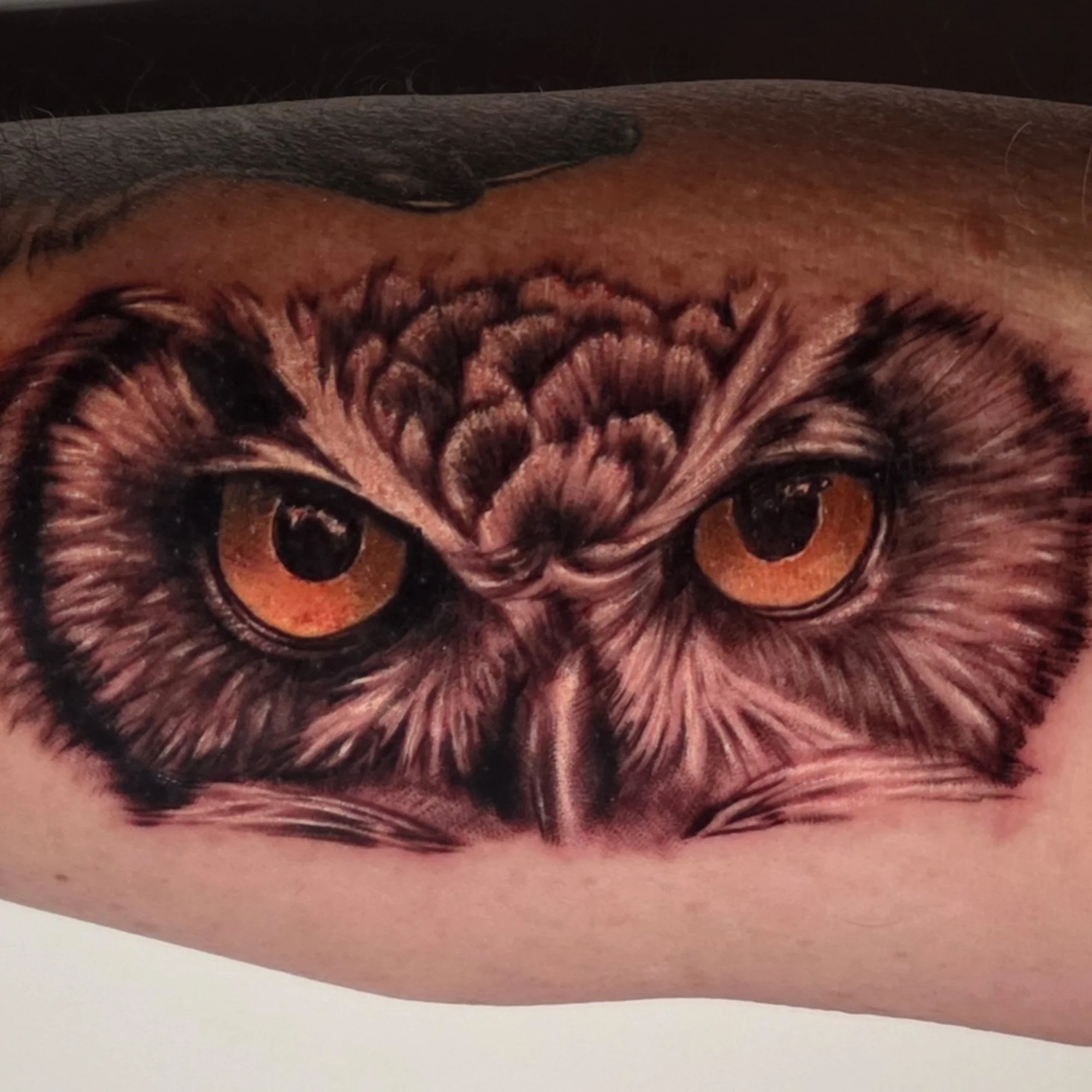 Tattoo of Owl's face