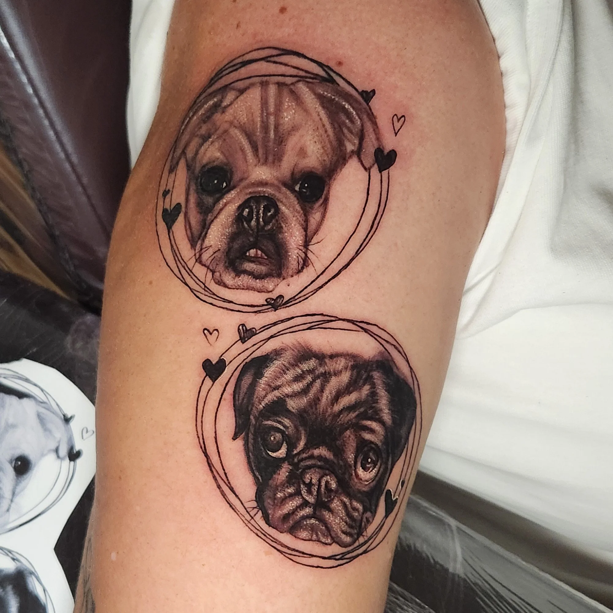Tattoo portrait of pug dogs