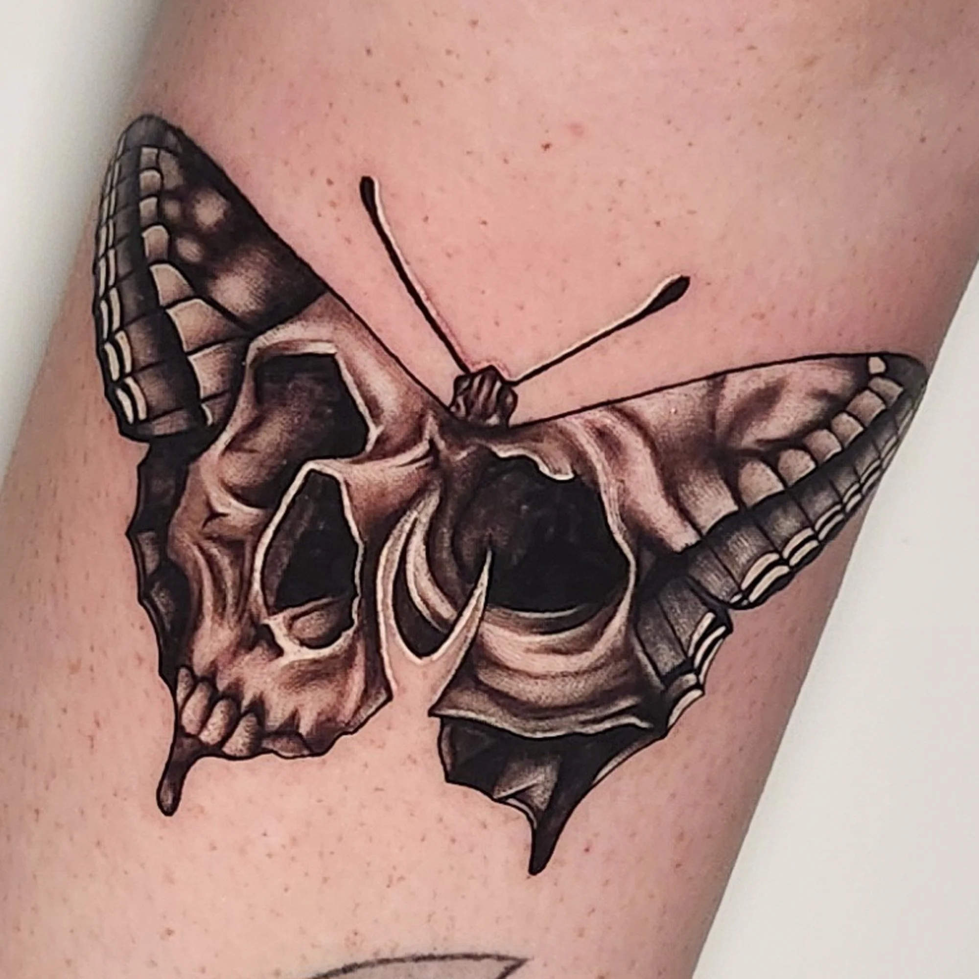 Skull butterfly/moth, black and grey, realism tattoo