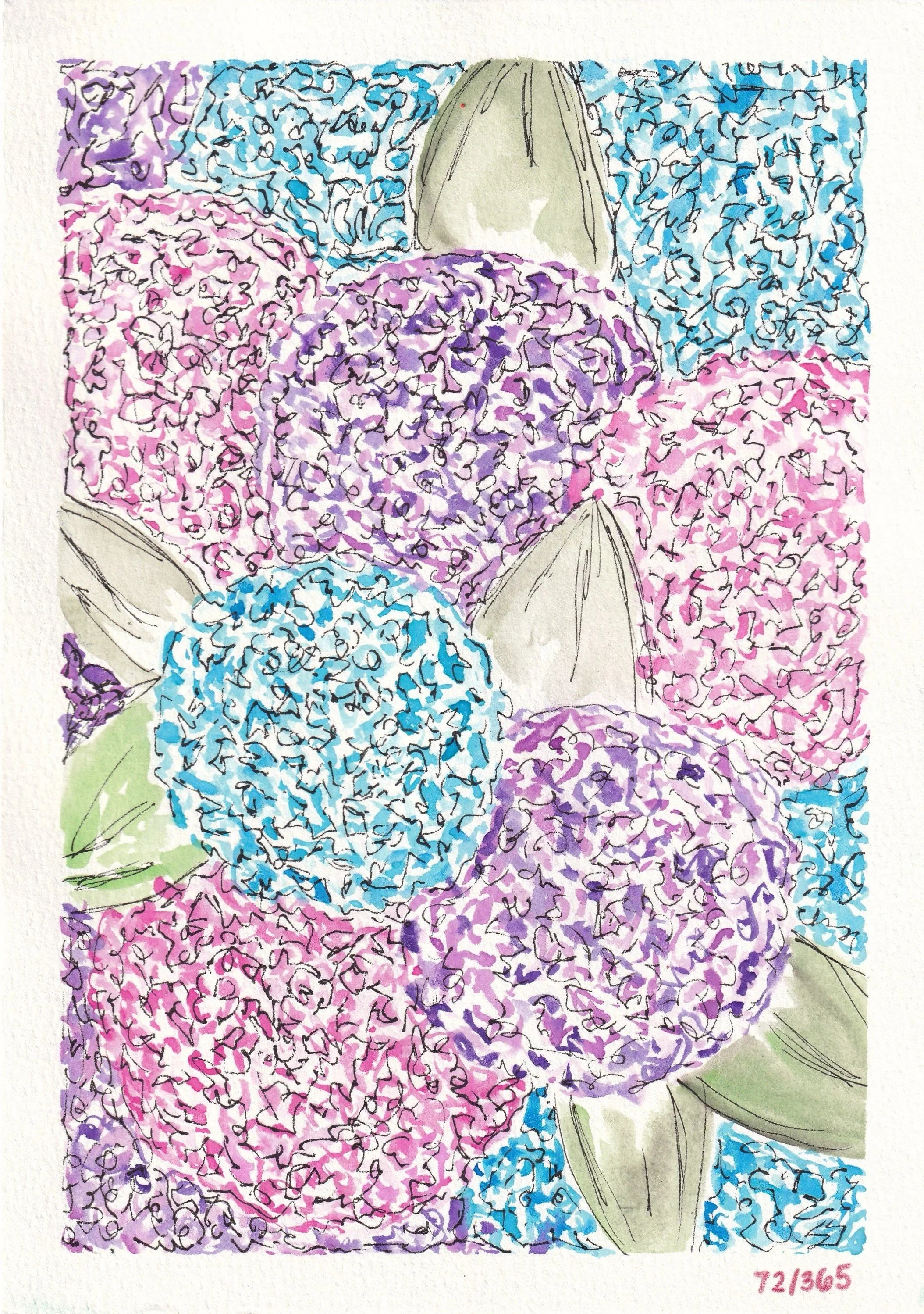 Day 72