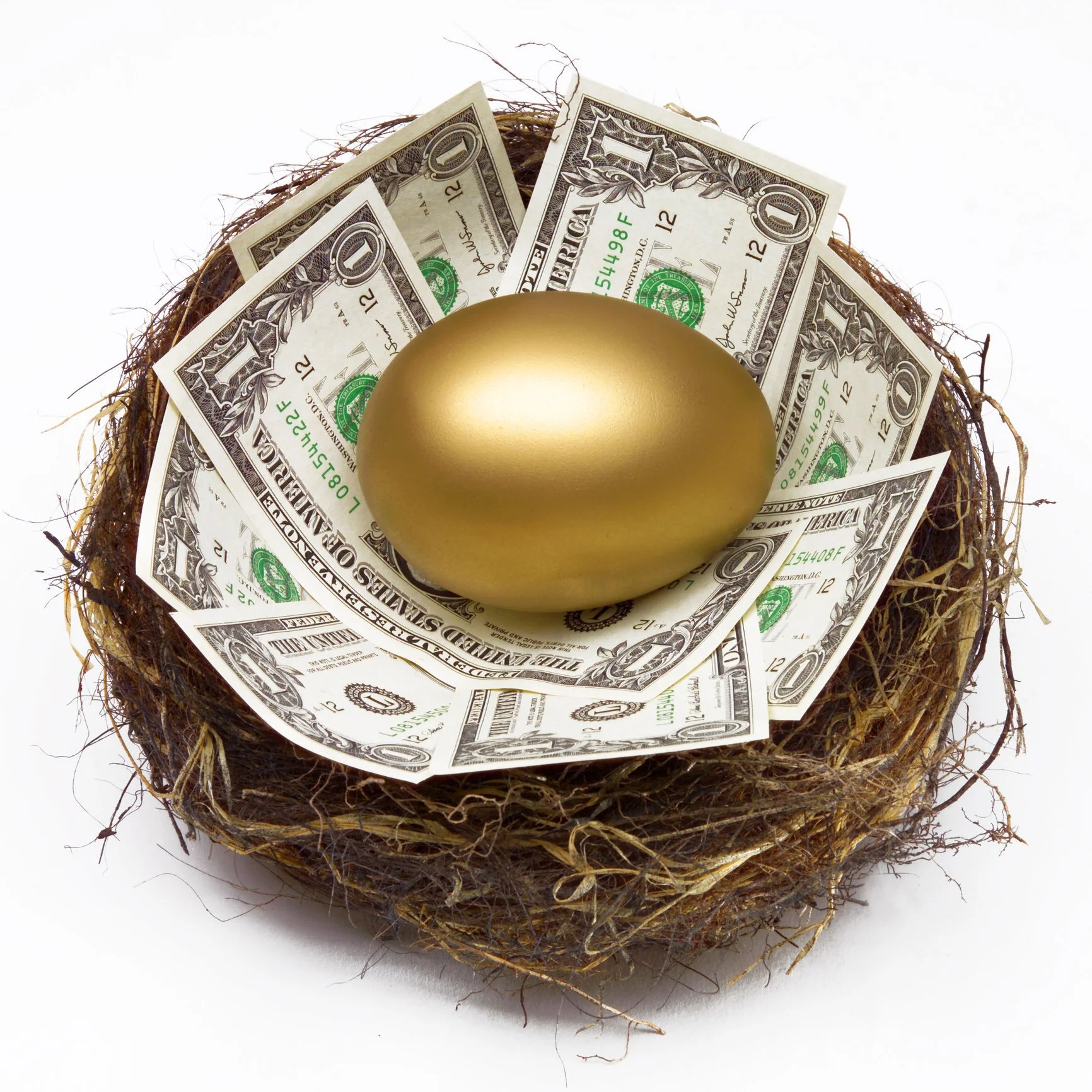 A golden egg resting in a nest lined with twenty-dollar bills.