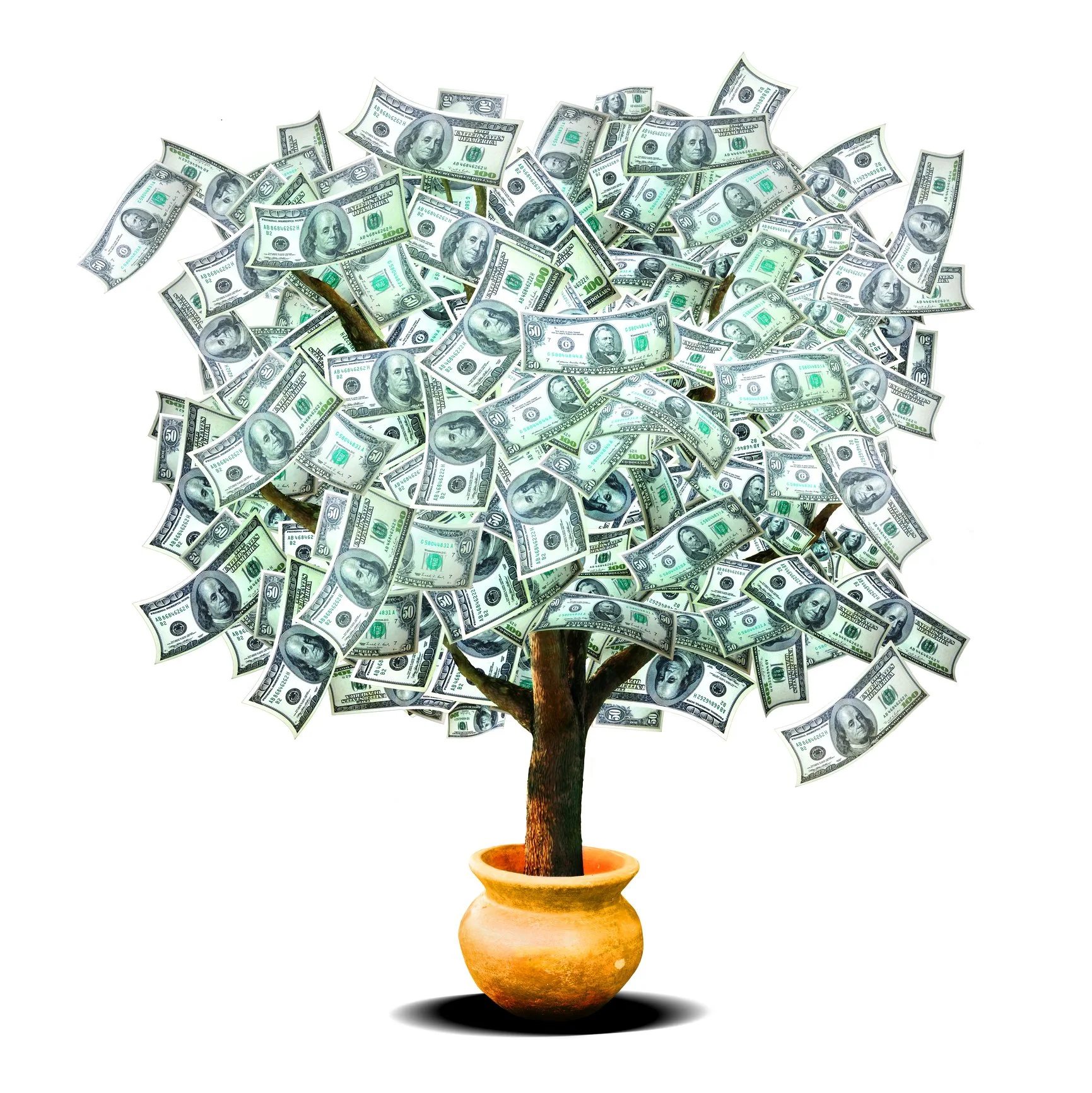 Money tree, money doesn't grow on trees.