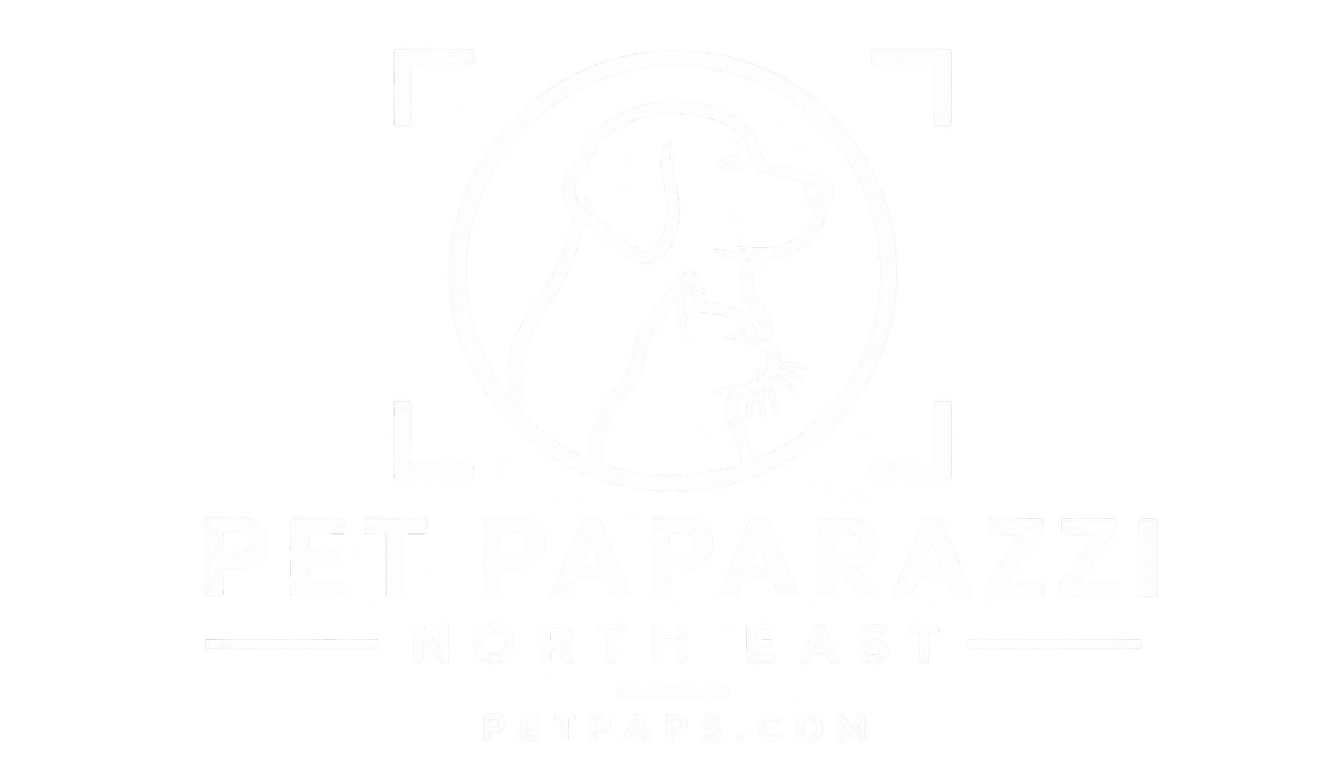 Pet Paparazzi North East