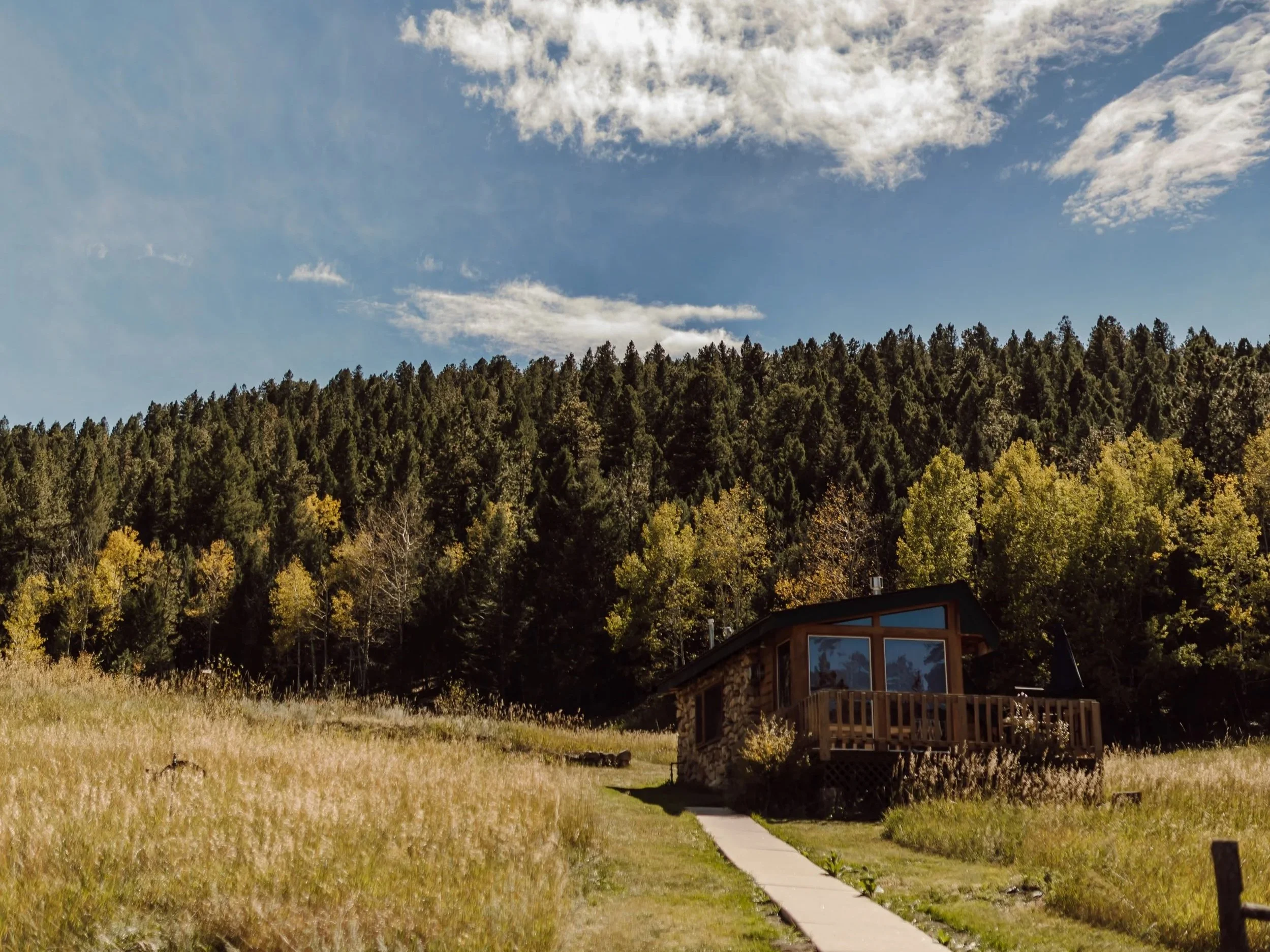 A cabin in a meadow with large windows in a forested area with trees, a lawn, and a pathway leading to the house under a partly cloudy sky.