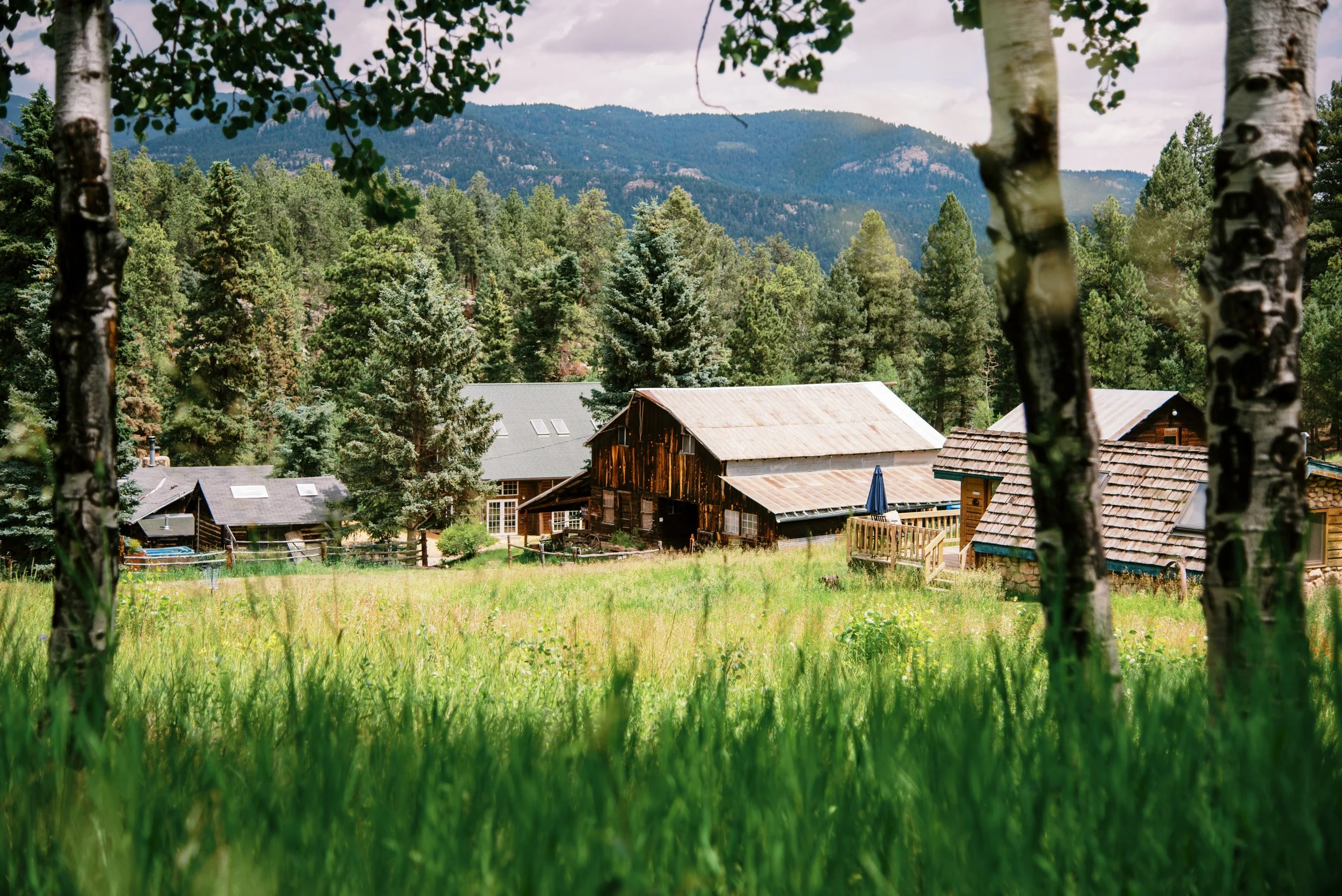 Views of Meadow Creek Lodge barns from the meadow, surrounded by green trees, with mountains in the background.