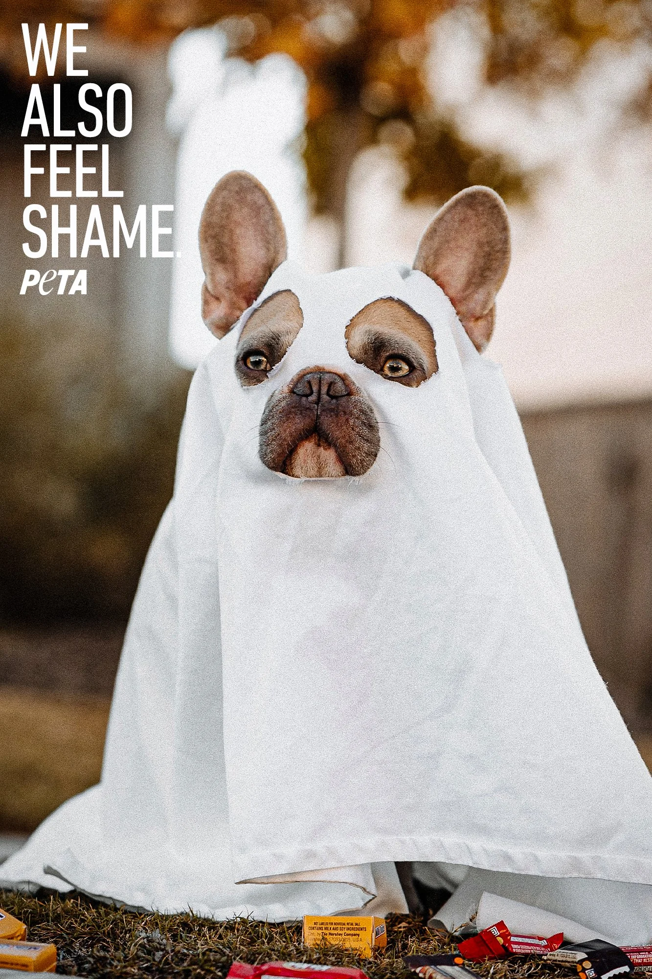 Peta_5_ghost.jpg