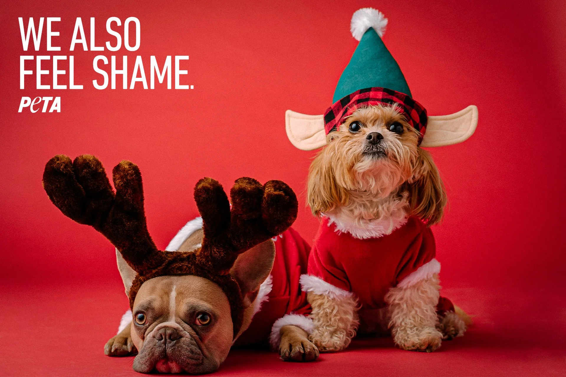 Peta_2_elf and reindeer.jpg