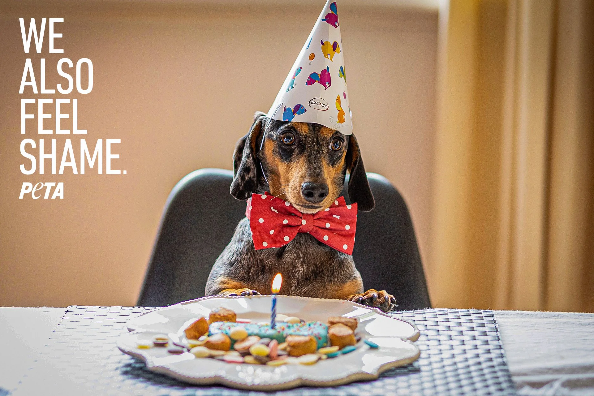 Peta_1_birthday.jpg