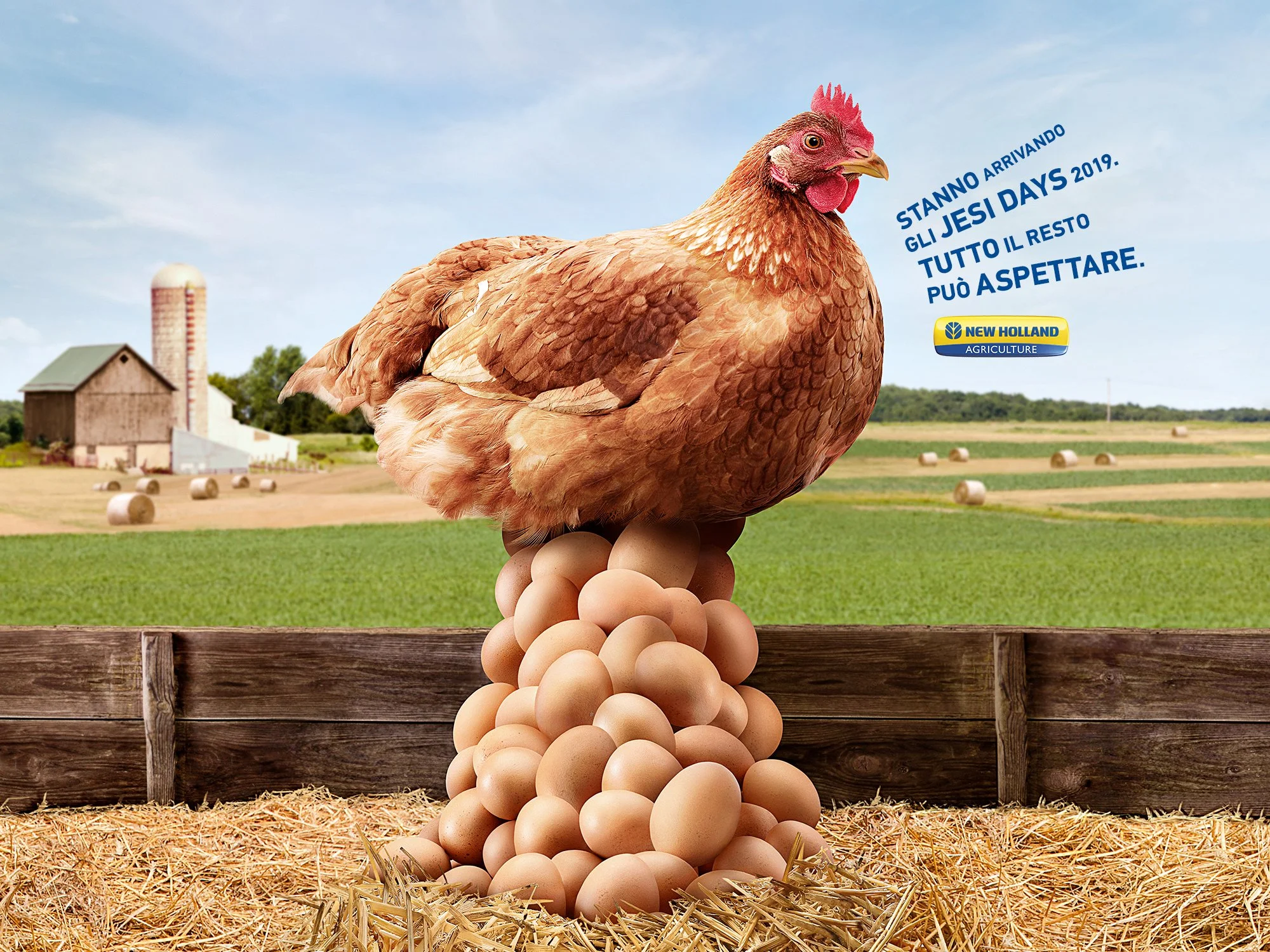 Gallo gigante con corpo di uova di gallina, su un traliccio di legno in una fattoria, con campi e silos sullo sfondo.