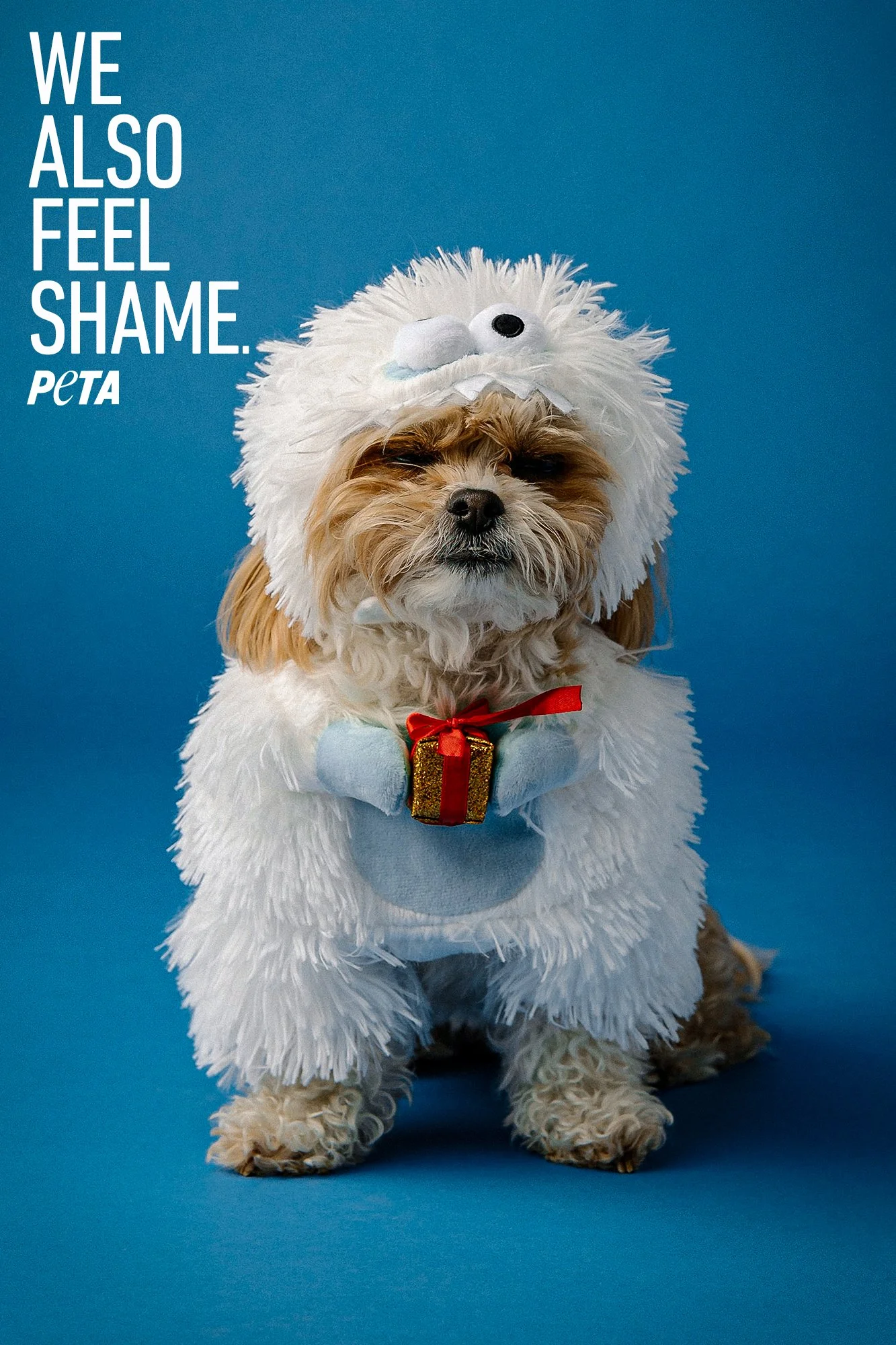 Peta_4_snow.jpg