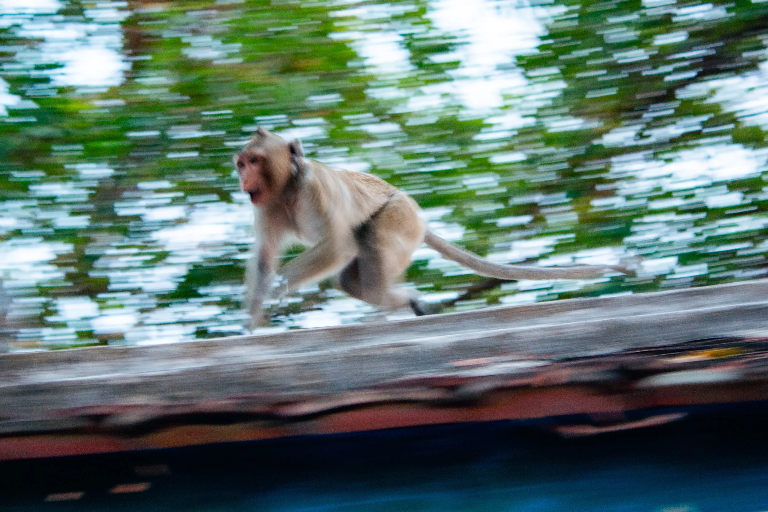 Angkor.jpg