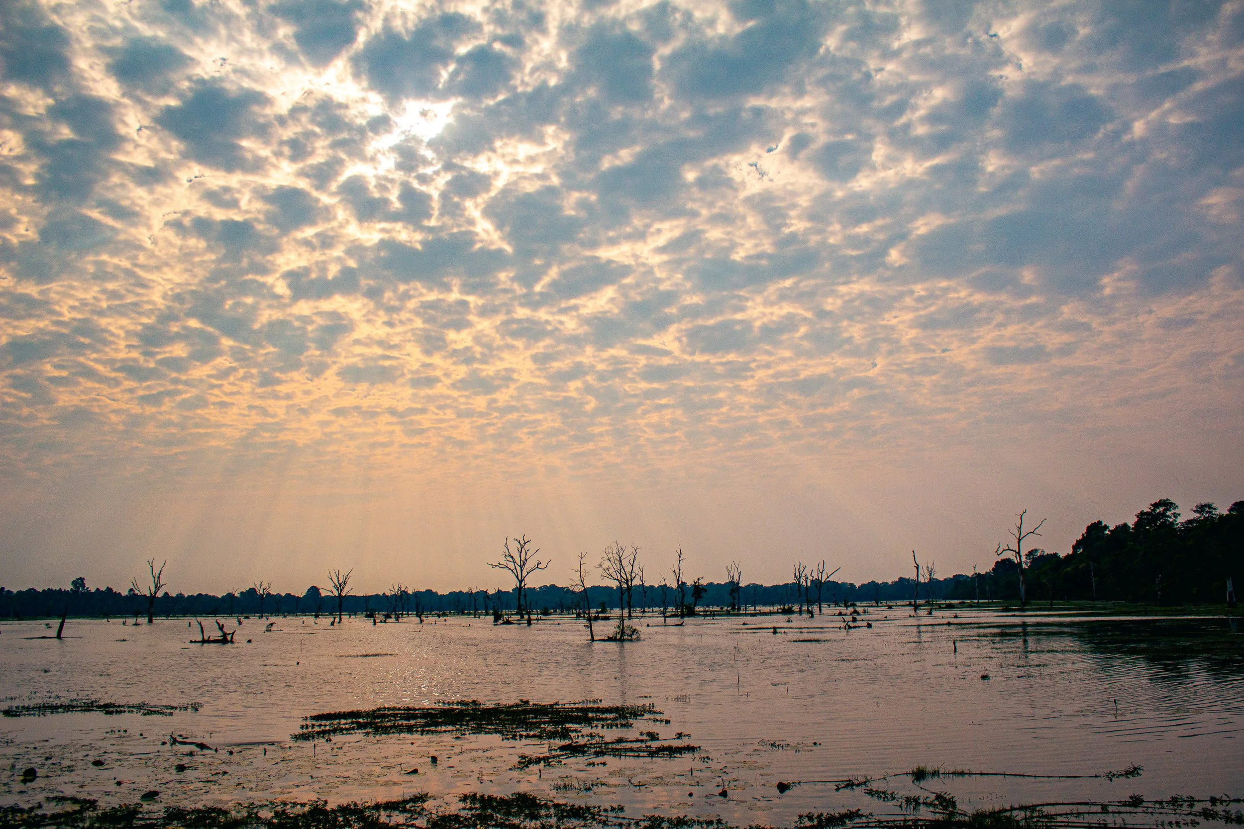 Angkor-19.jpg