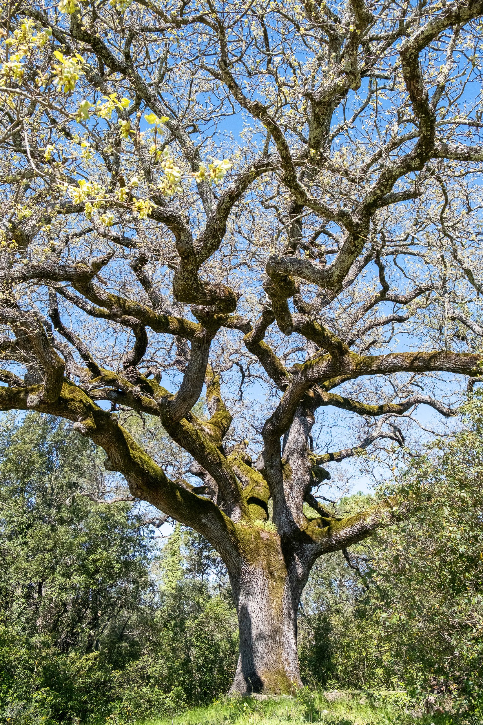 portfolio adoan-23.jpg