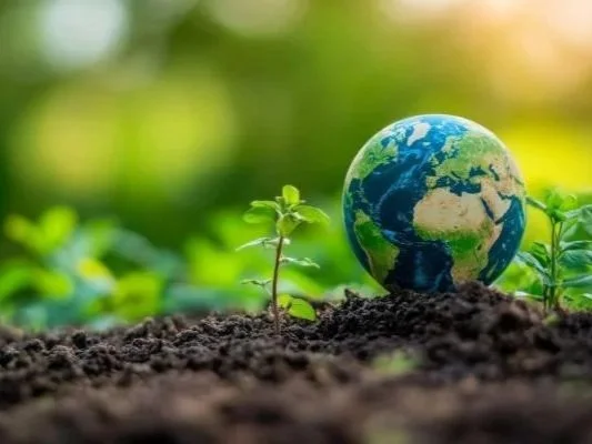 A small globe of Earth placed on soil next to a young plant sprouting, with a blurred green background.