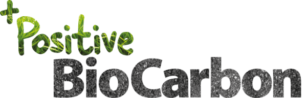 The text 'Positive BioCarbon' with 'Positive' in green leafy font and 'BioCarbon' in gray textured font.