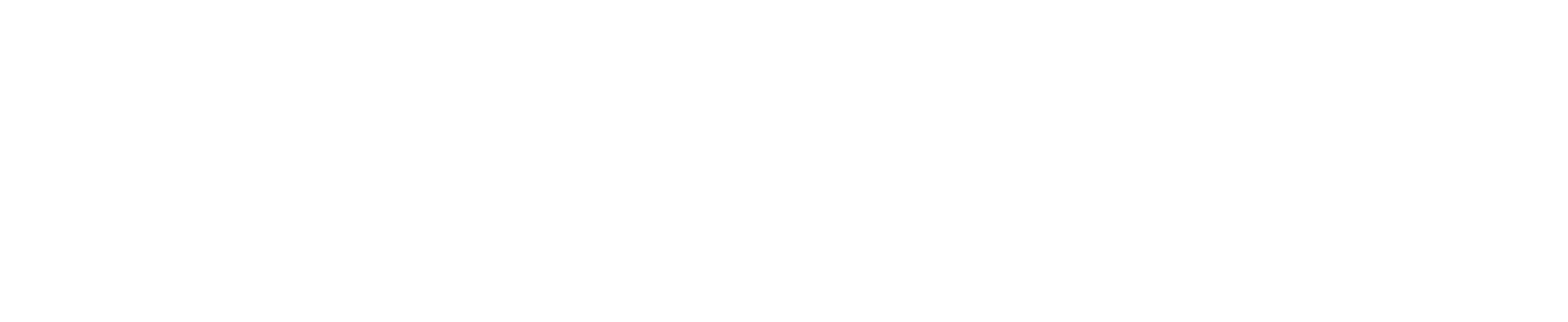 Research_Ireland_RGB_logo_white.png