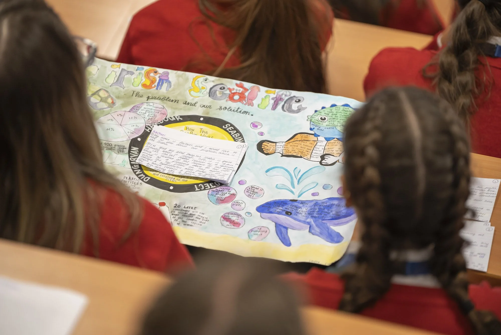 Project poster from a Get into Geoscience event for Irish School Leavers