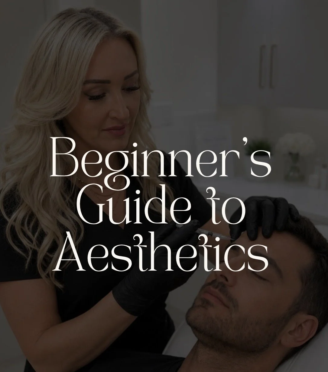 Beginners Guide to Aesthetics.jpg